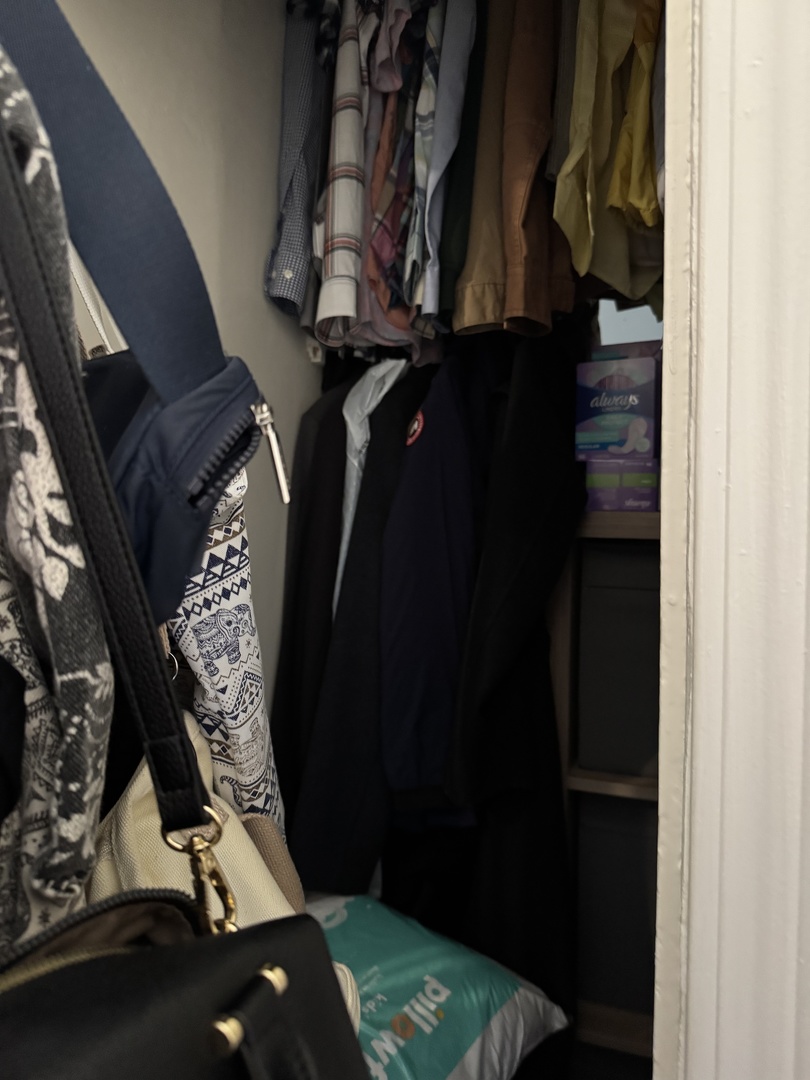 3145 South May Street, Unit 1F Chicago, IL 60608 - Photo 7 of 11