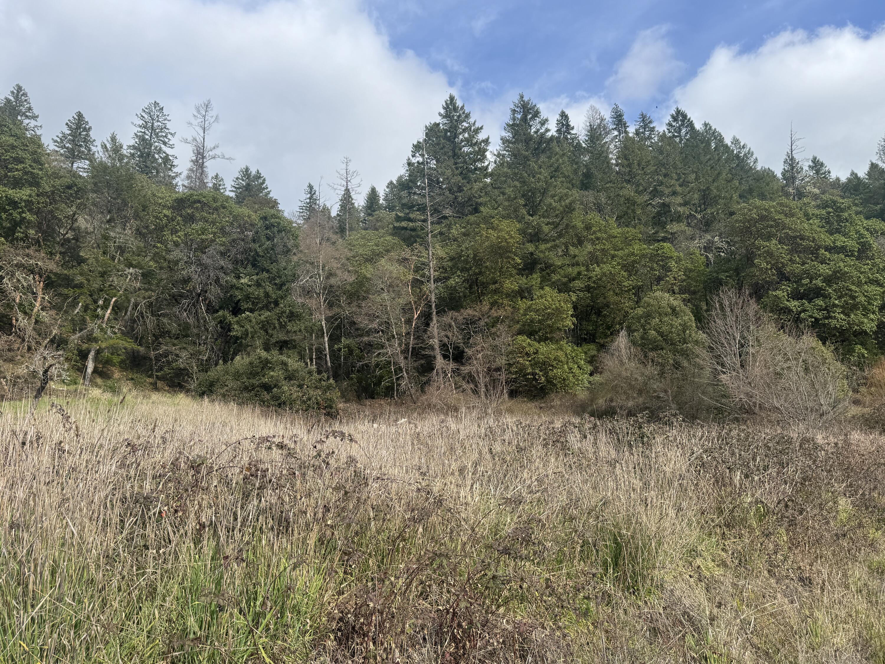 184 Cherry Tree Lane Salyer, CA 95563 - Photo 16 of 21 IMG_0130