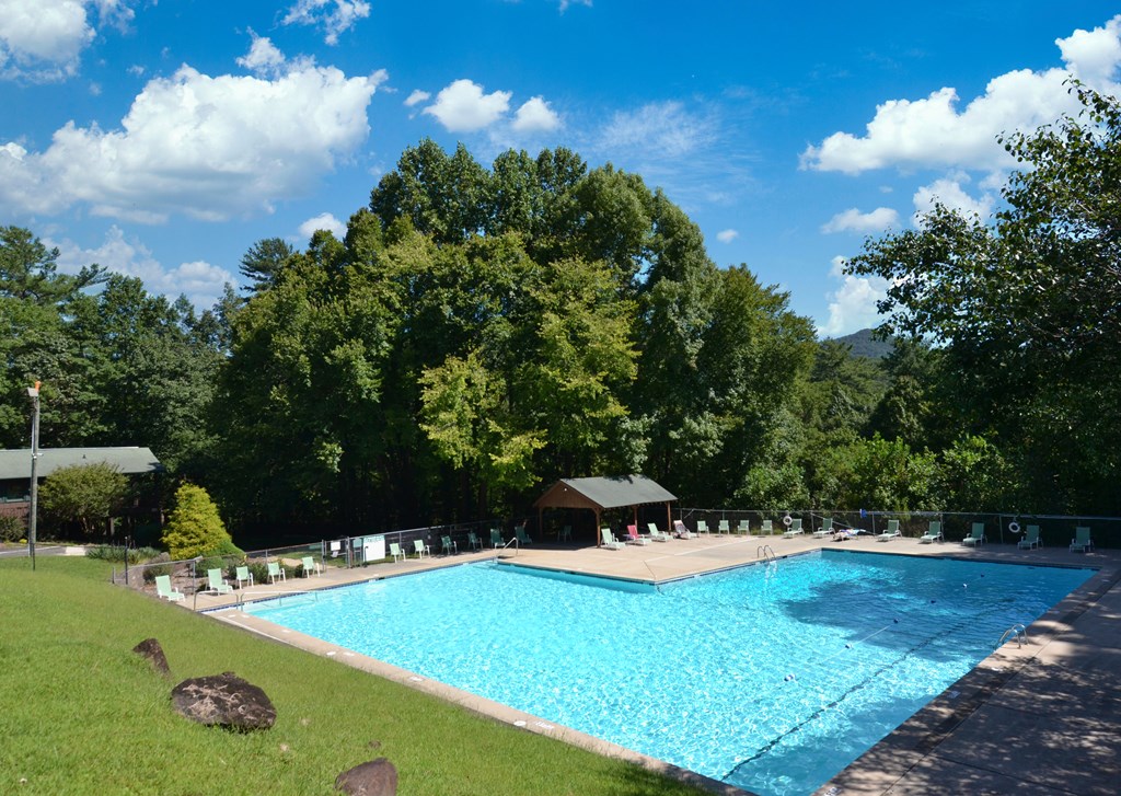 1213 Mountain Oak Road Ellijay, GA 30536 - Photo 8 of 65 Community Pool