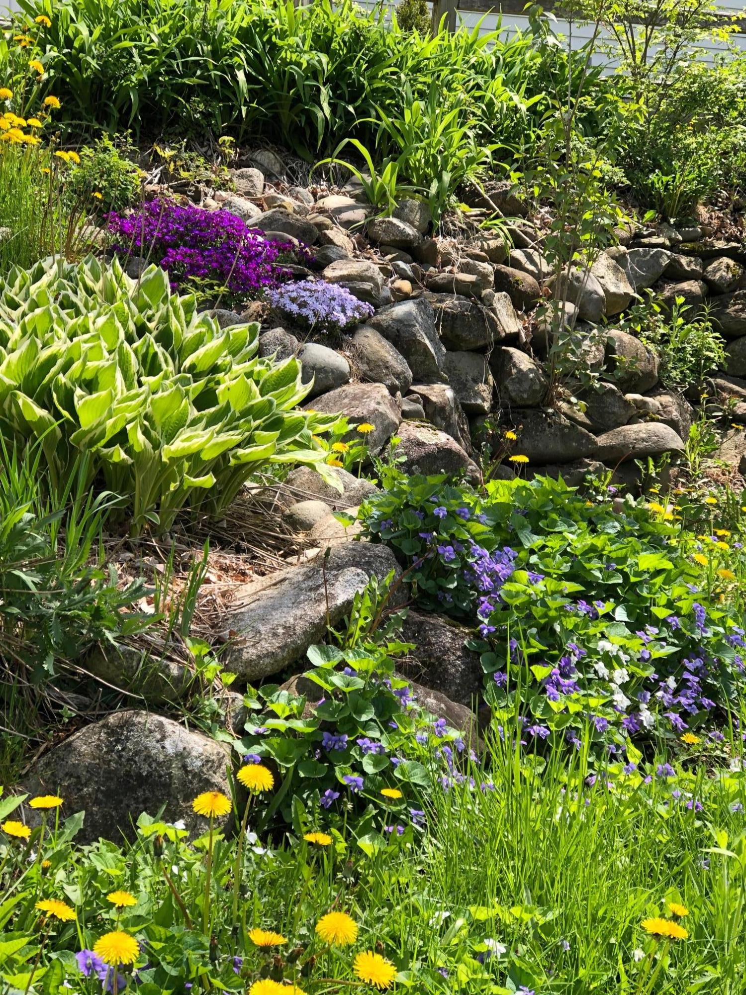 584 Ridge Road Windsor, ME 04363 - Photo 54 of 56 gardens