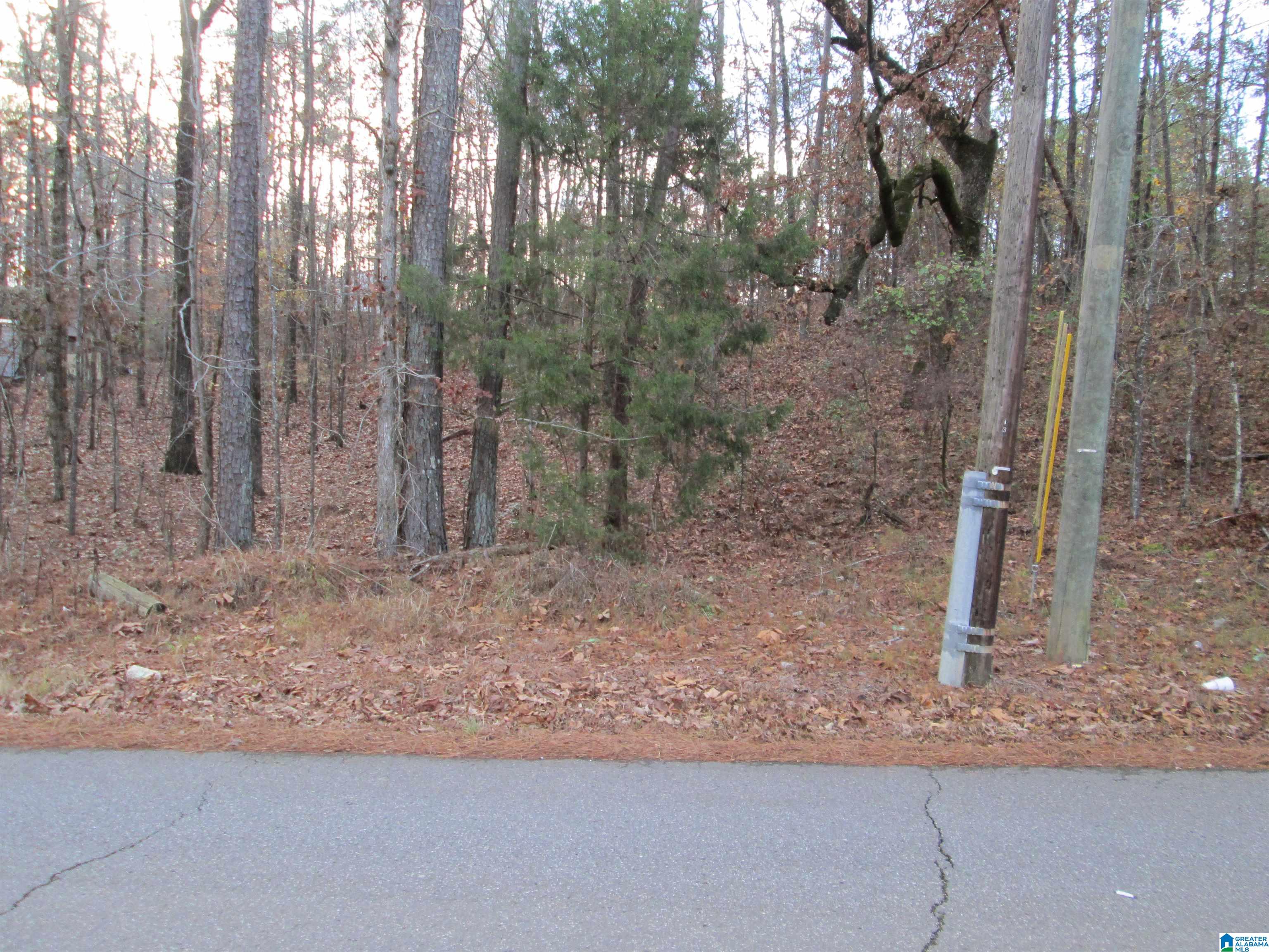 Parsons Drive, Unit 3 Vance, AL 35490 - Photo 3 of 6