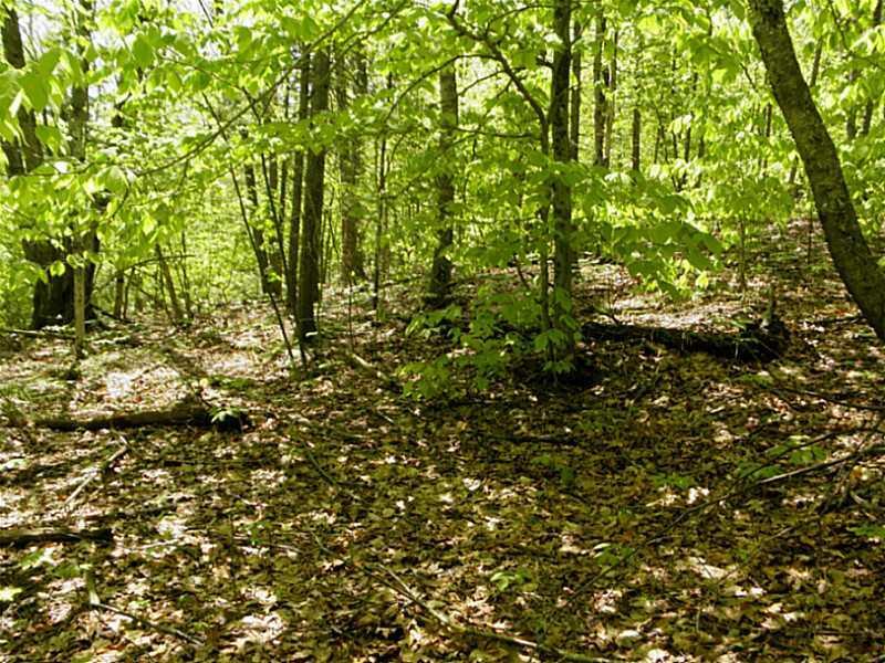 212 Barnestown Road Camden, ME 04843 - Photo 16 of 19 Land.