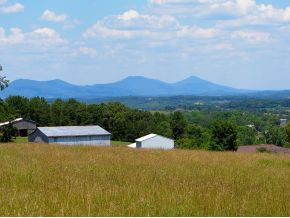 0 Brown Springs Road, Unit 4 7 Mosheim, TN 37818 - Photo 1 of 3 Photo 1