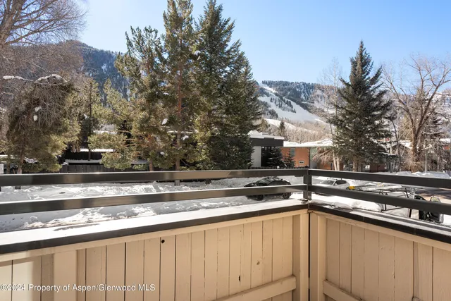 a view of backyard with stainless steel appliances wooden floor and trees in the background