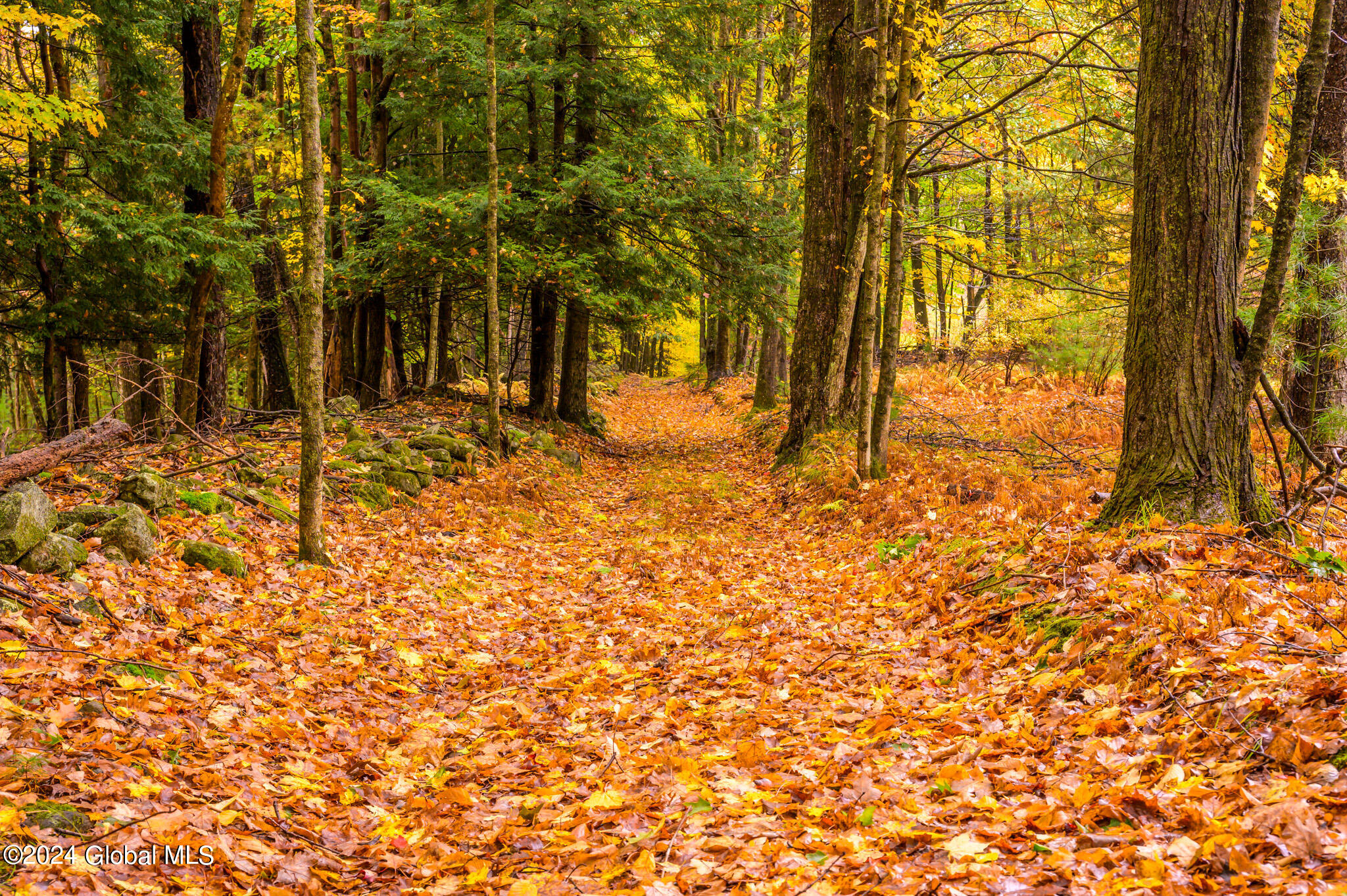1013-1017 Plank Road Poestenkill, NY 12018 - Photo 25 of 49 25. an old road that runs to the back o