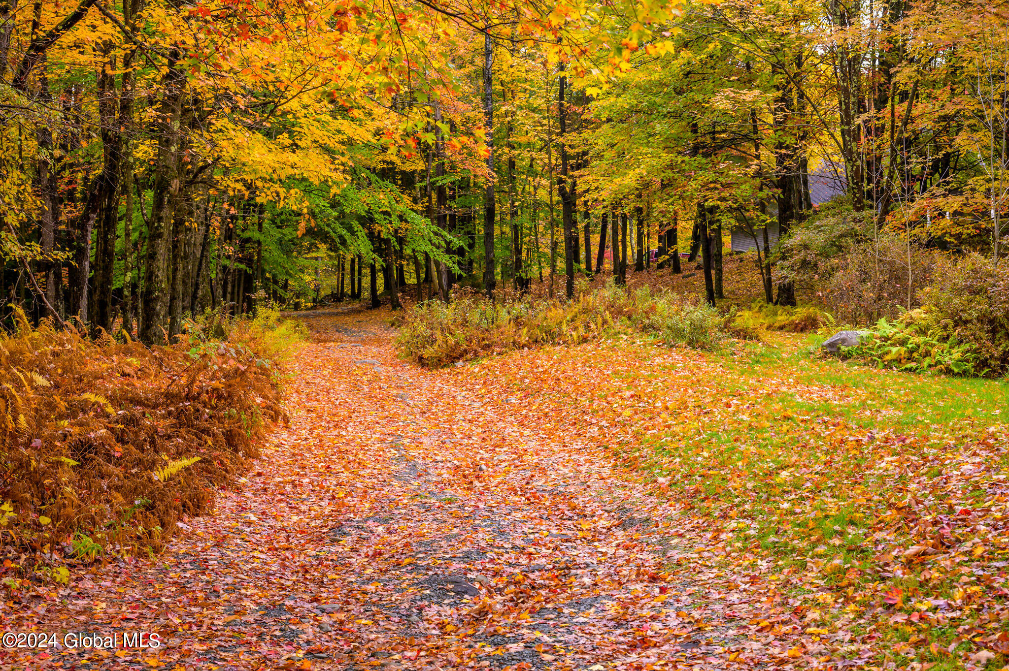 1013-1017 Plank Road Poestenkill, NY 12018 - Photo 28 of 49 28. sugar maples and red oaks