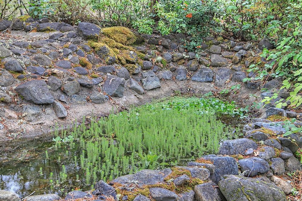 2929 Fish Hatchery Road Grants Pass, OR 97527 - Photo 26 of 32 Additional Photo