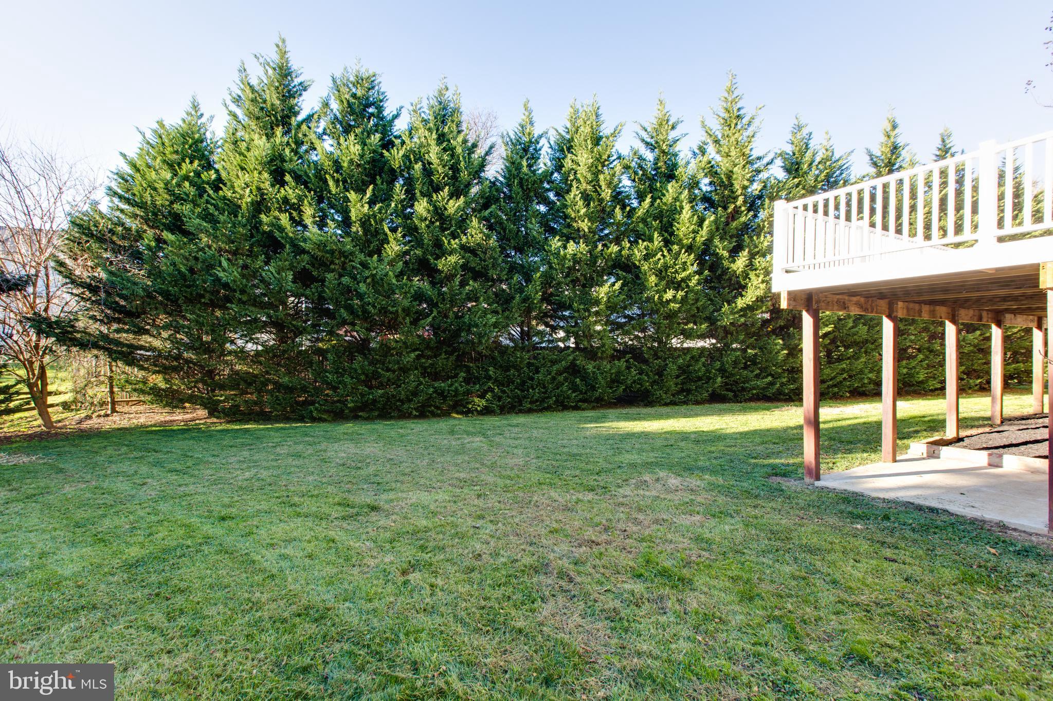 10236 Wetherburn Road Ellicott City, MD 21042 - Photo 63 of 68 Gallery Image 63