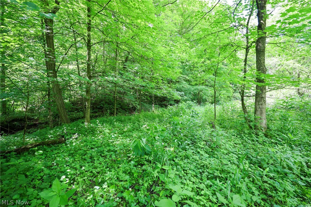 Dixon Road Jacobsburg, OH 43933 - Photo 19 of 29 Gallery Image 19