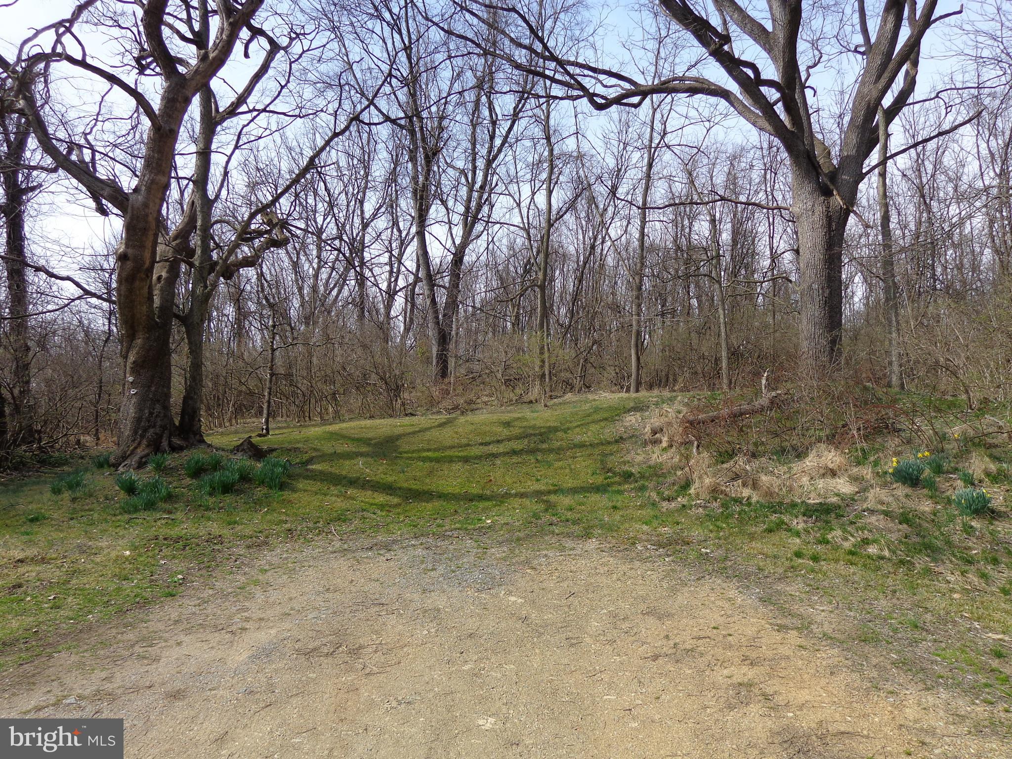 165 Steely Road Reading, PA 19608 - Photo 3 of 5