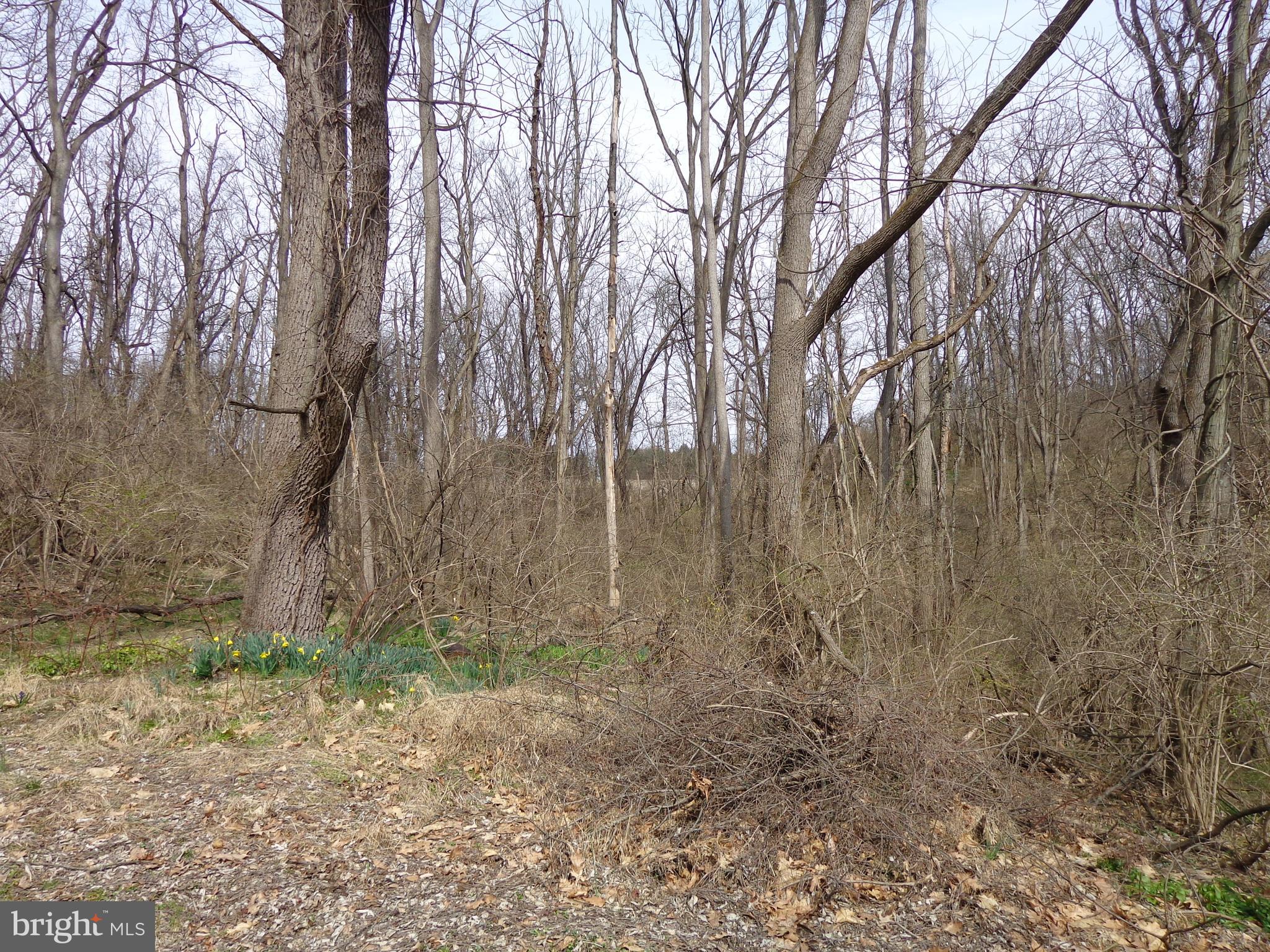 165 Steely Road Reading, PA 19608 - Photo 4 of 5