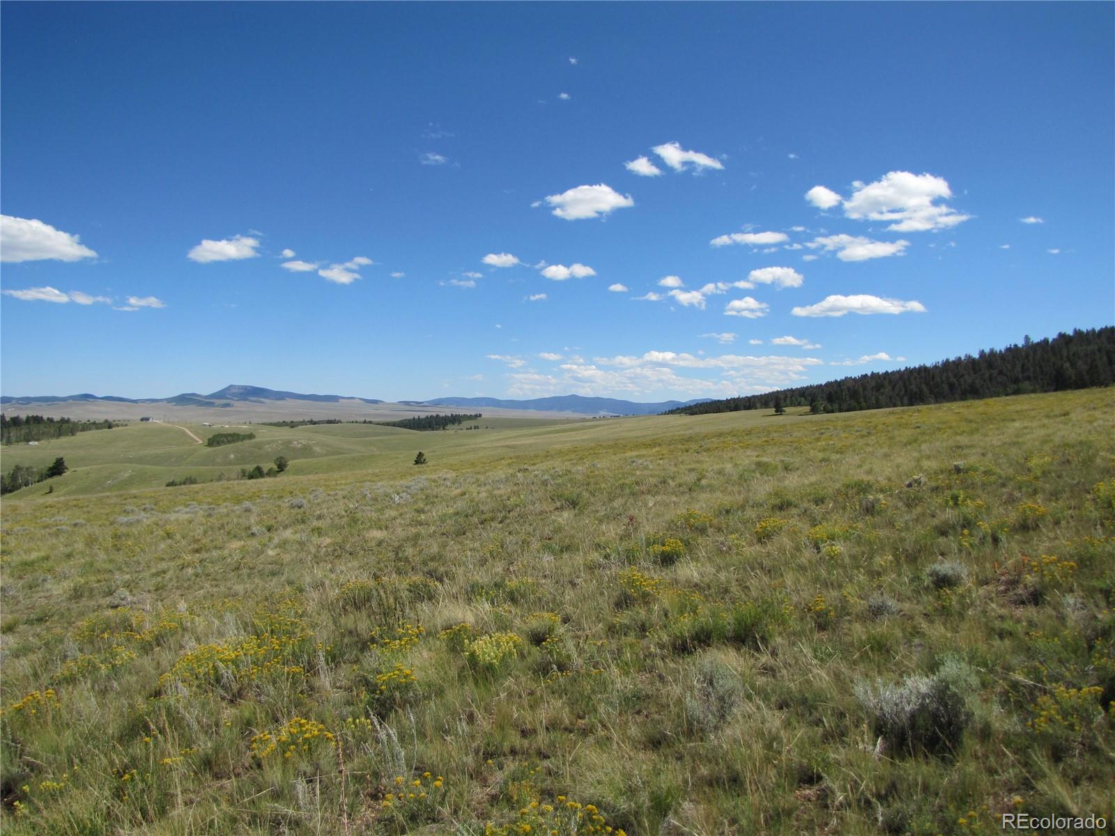 8552 Ranch Road Hartsel, CO 80449 - Photo 12 of 13 Gallery Image 12
