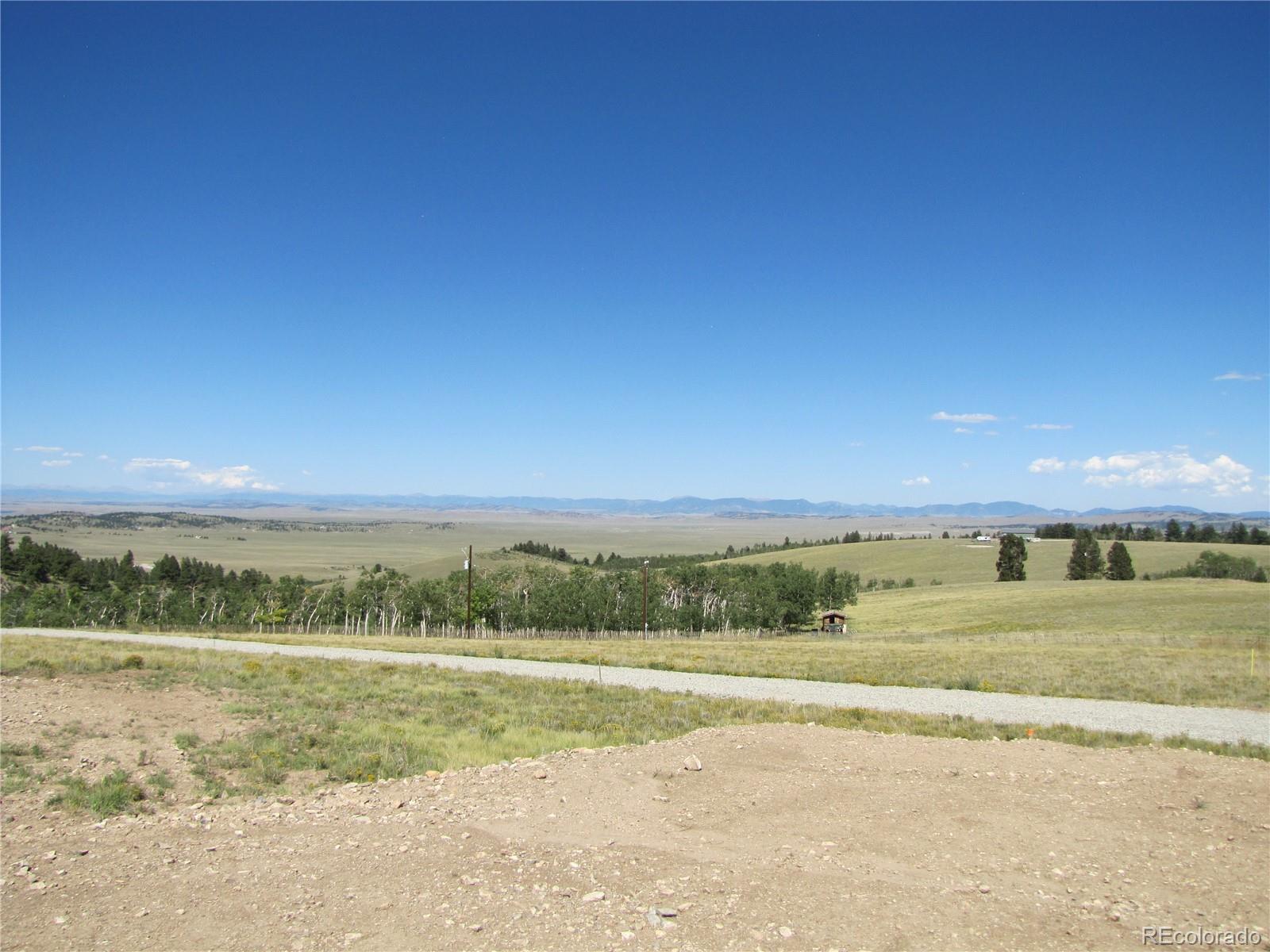 8552 Ranch Road Hartsel, CO 80449 - Photo 7 of 13 Gallery Image 7