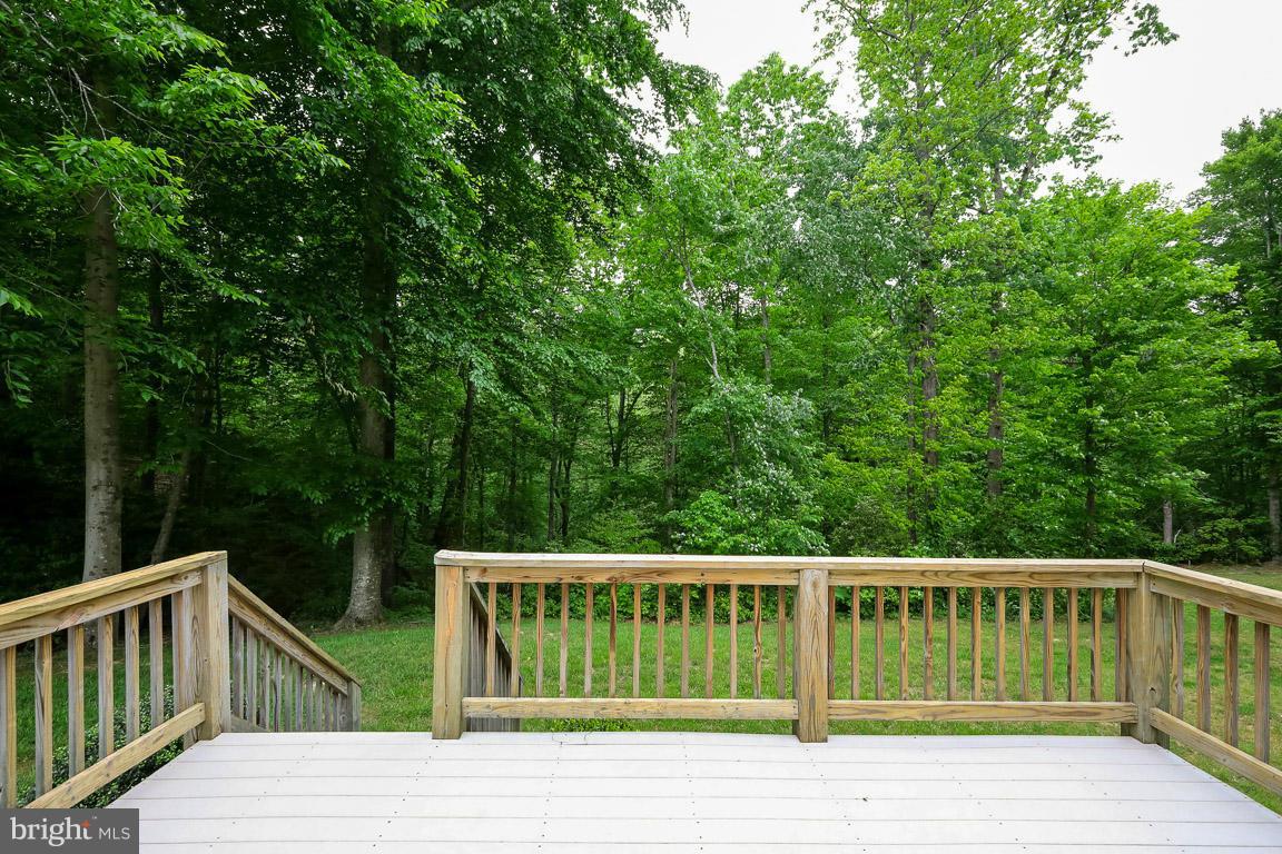 25865 Ricky Drive Hollywood, MD 20636 - Photo 5 of 23 View