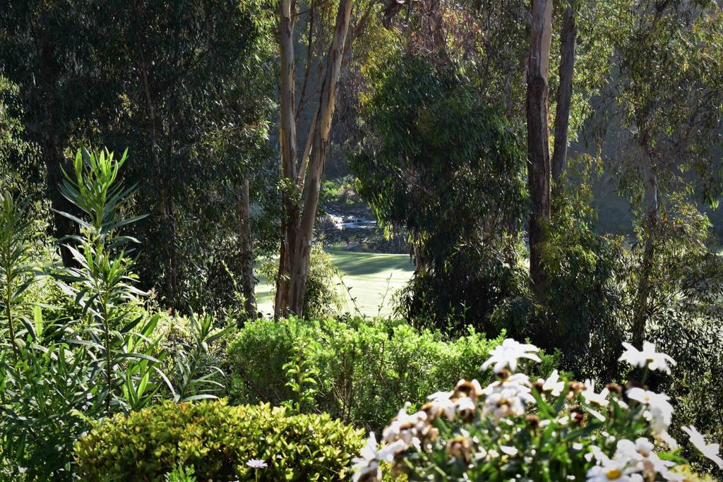 7210 Aviara Drive Carlsbad, CA 92011 - Photo 28 of 63 a view of a garden with plants