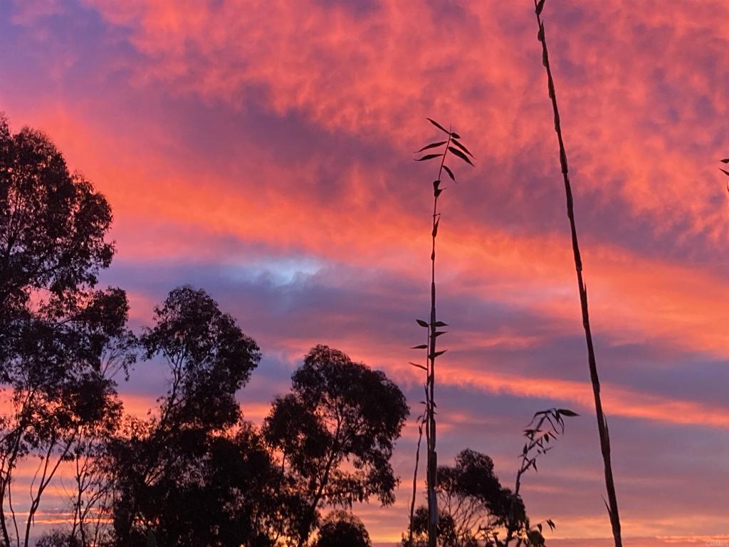 7210 Aviara Drive Carlsbad, CA 92011 - Photo 55 of 63 a view of a city