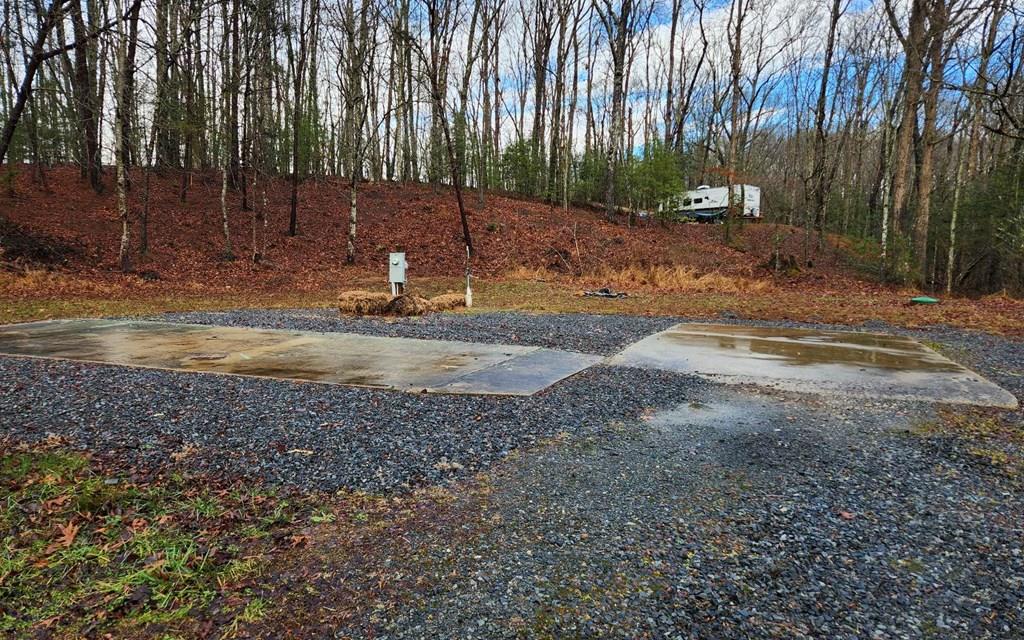 a view of a backyard with large trees