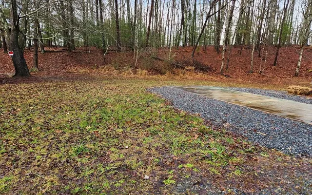 a view of a yard with trees