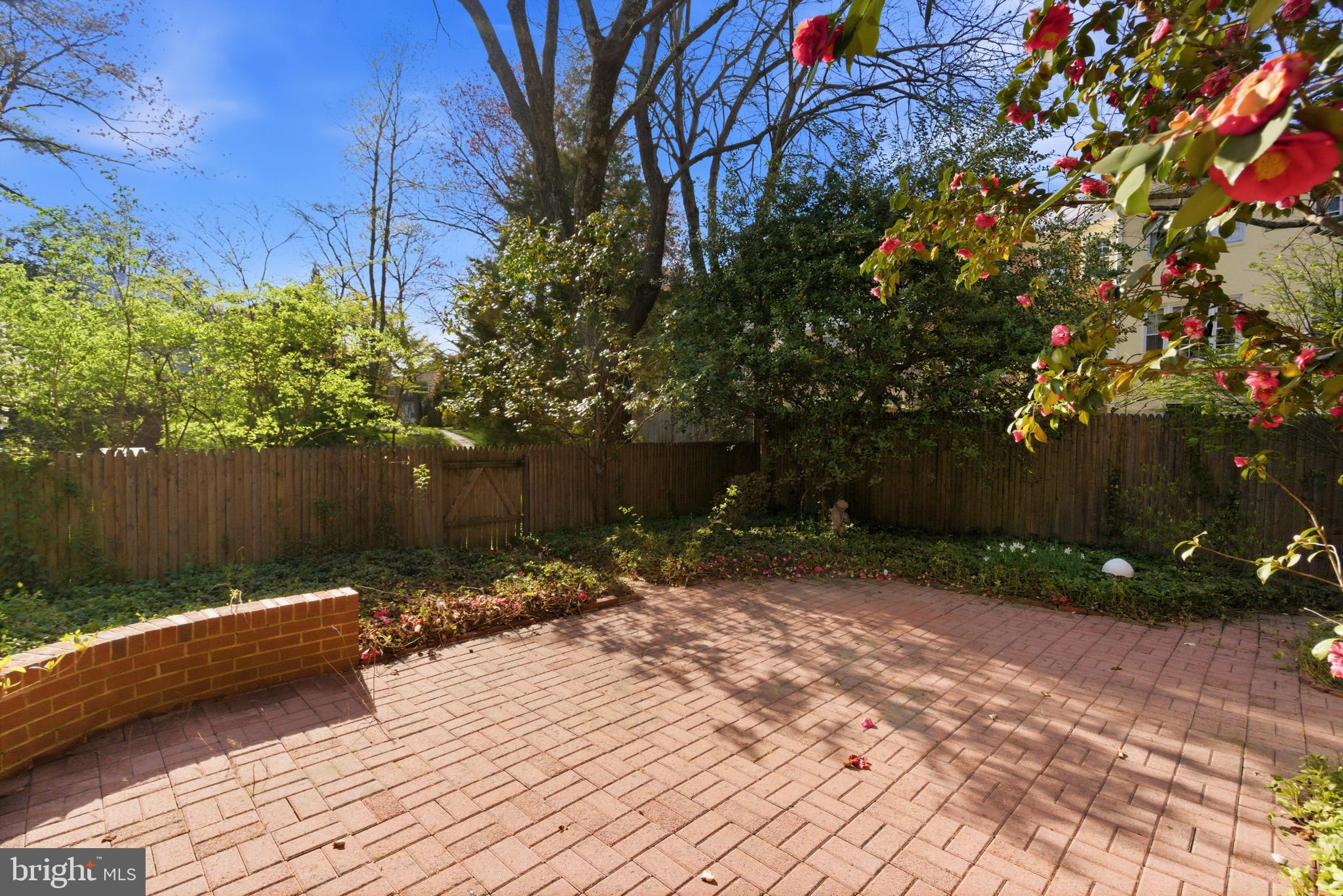 3512 Hamlet Place Chevy Chase, MD 20815 - Photo 6 of 51 a backyard of a house with lots of green space