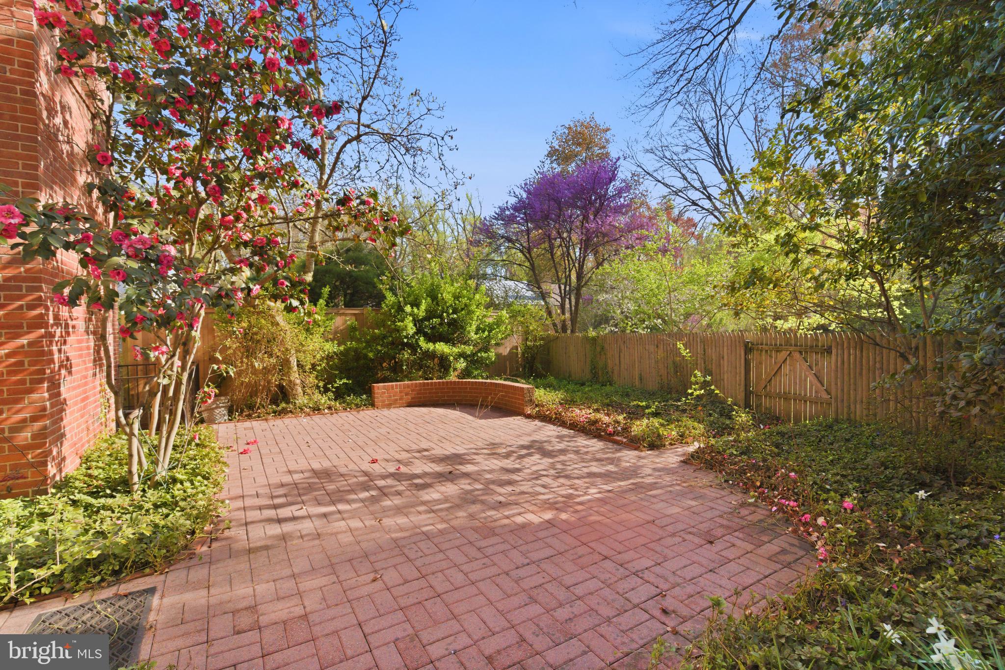 3512 Hamlet Place Chevy Chase, MD 20815 - Photo 7 of 51 a pathway of a yard