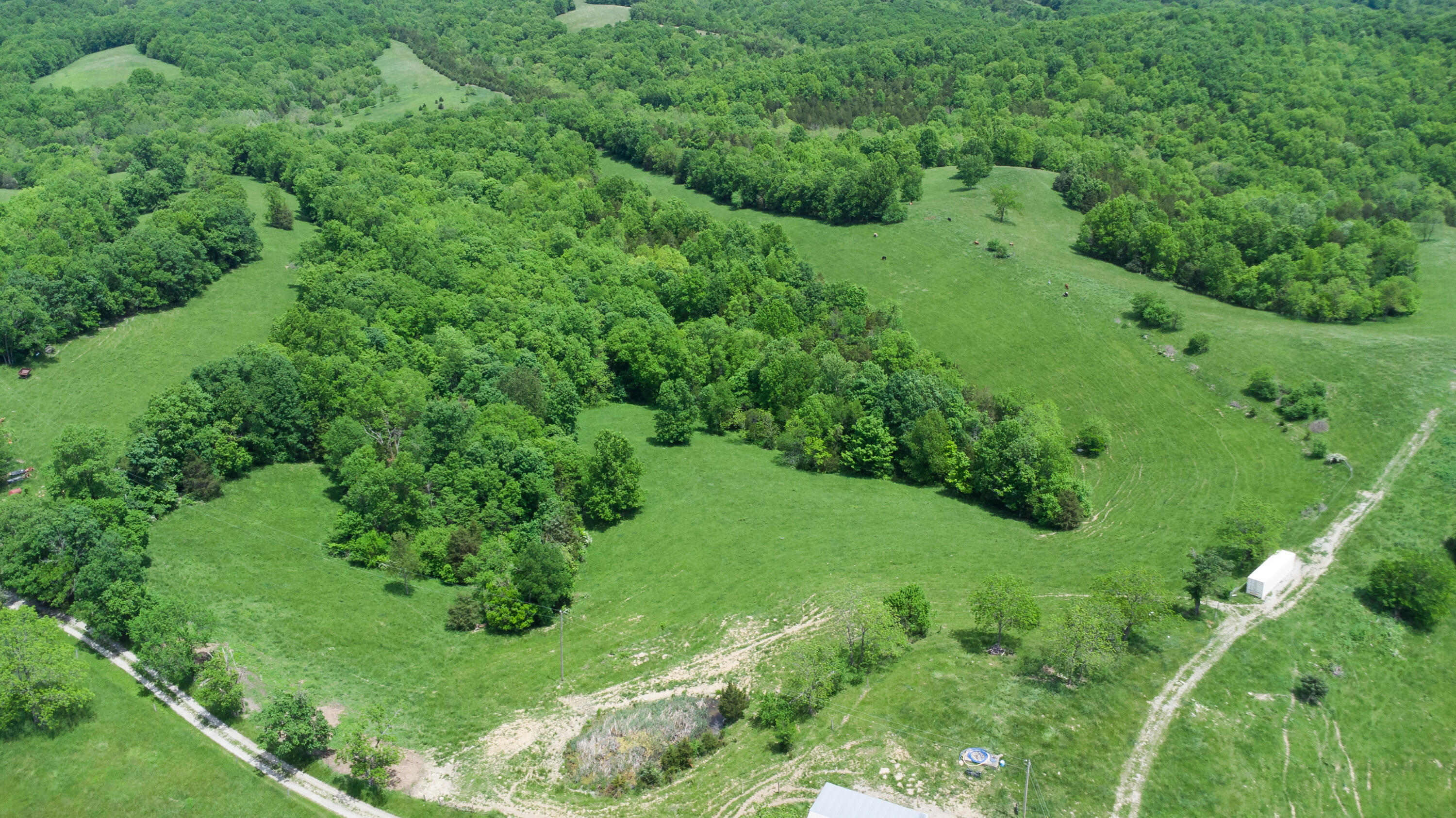 119-acres Keefer Road Corinth, KY 41010 - Photo 38 of 44 Gallery Image 38