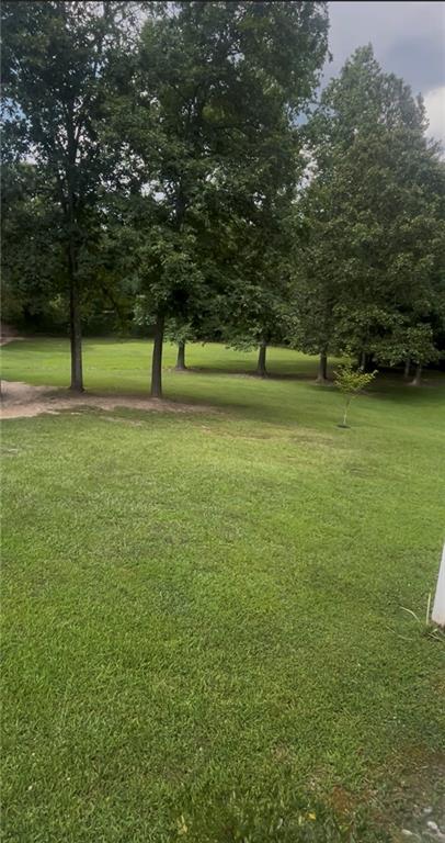 506 Doyle Road Cedartown, GA 30125 - Photo 4 of 26