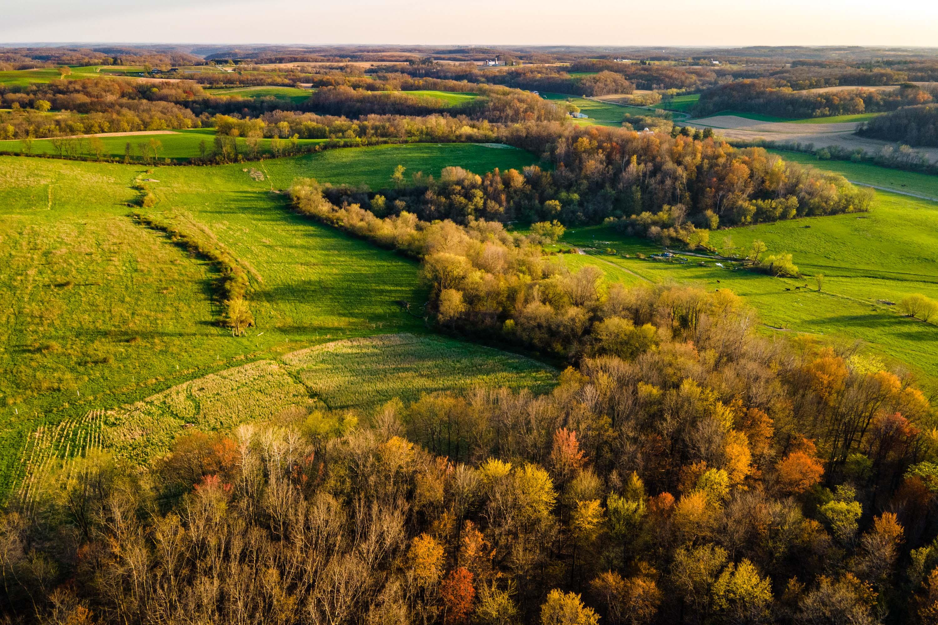 Sauk-County-WI-90-Acres-Land-For-Sale-1