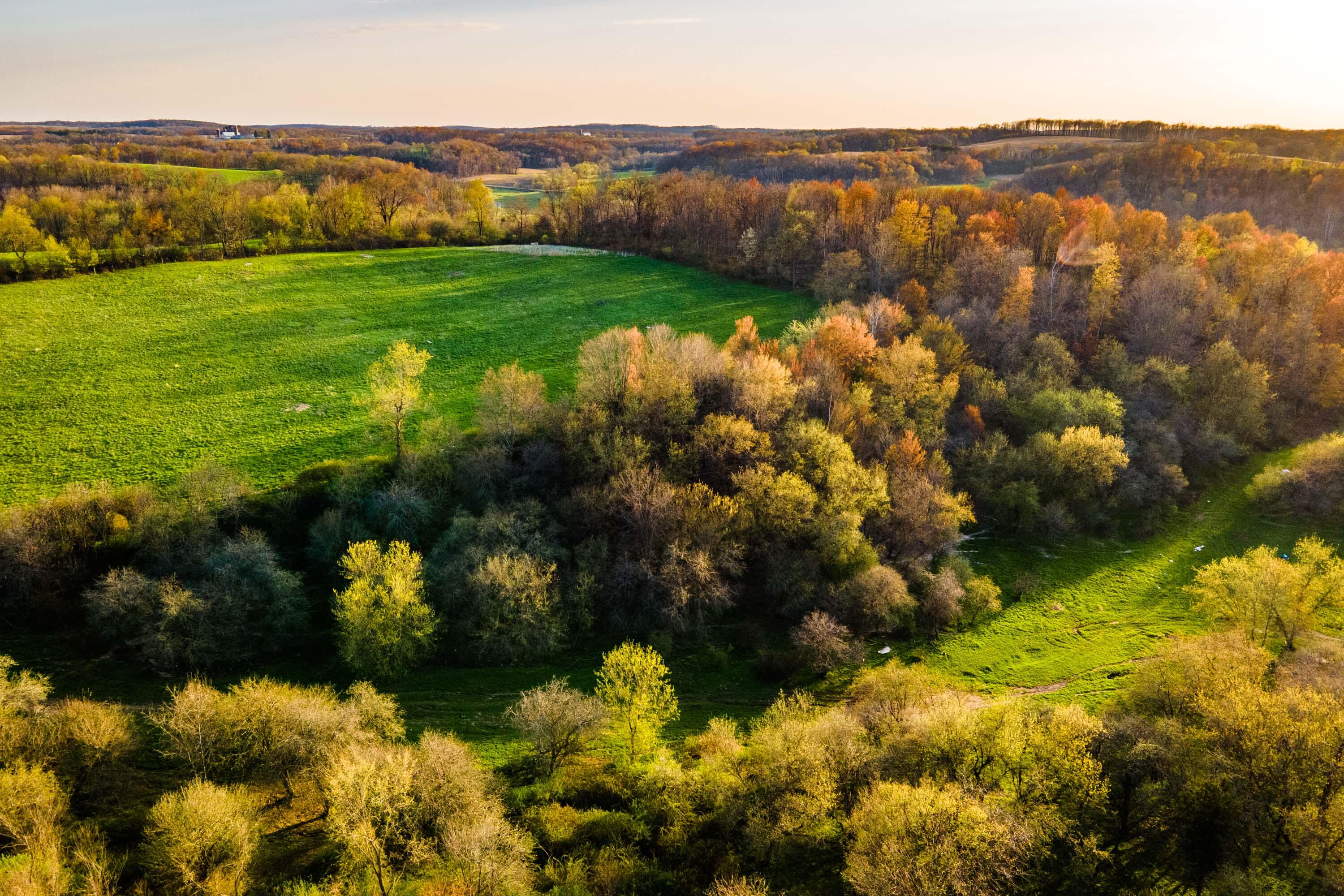 Lt1 Eli Valley Road Loganville, WI 53943 - Photo 12 of 71 Sauk-County-WI-90-Acres-Land-For-Sale-12