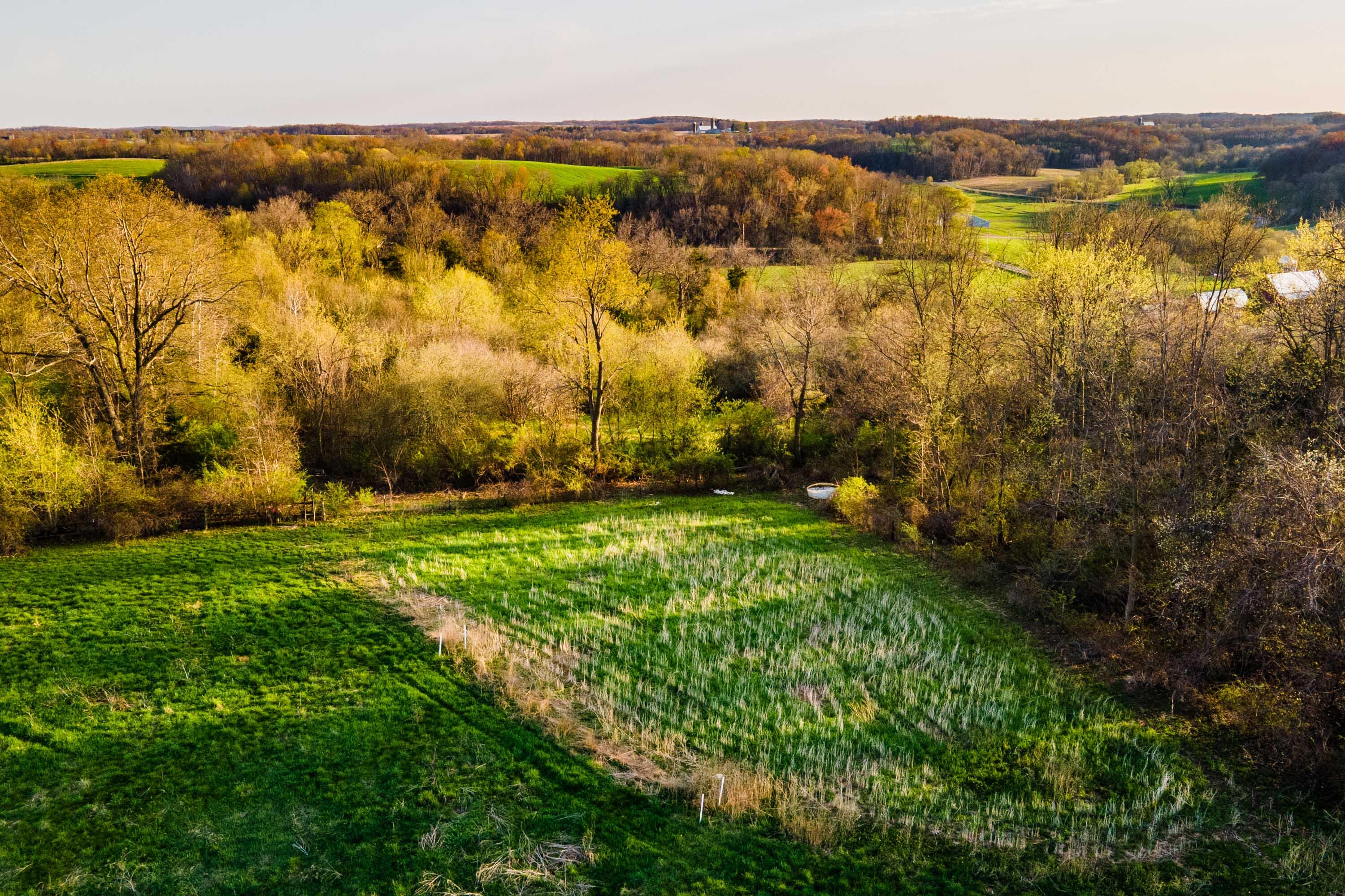 Lt1 Eli Valley Road Loganville, WI 53943 - Photo 15 of 71 Sauk-County-WI-90-Acres-Land-For-Sale-15