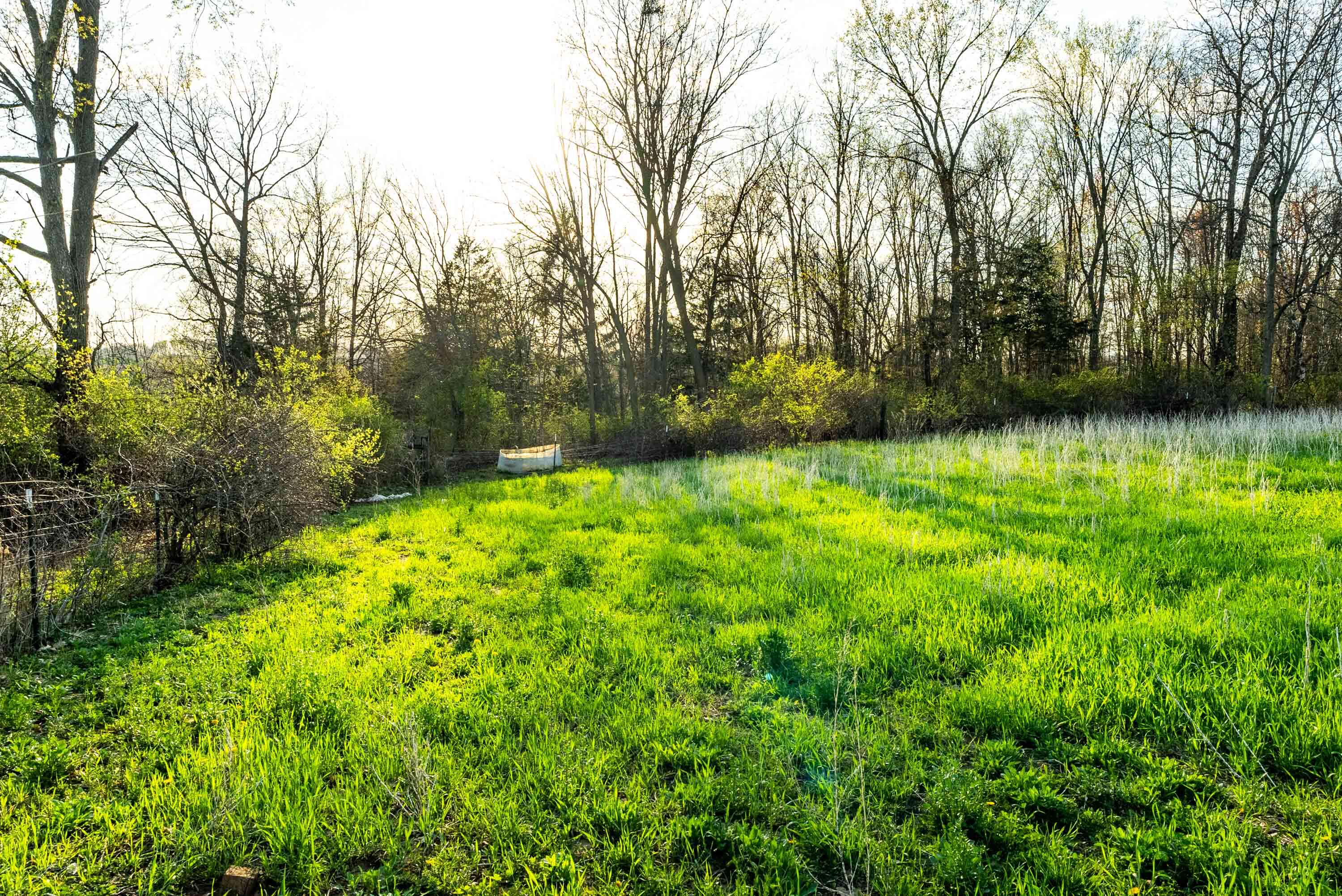 Lt1 Eli Valley Road Loganville, WI 53943 - Photo 16 of 71 Sauk-County-WI-90-Acres-Land-For-Sale-16