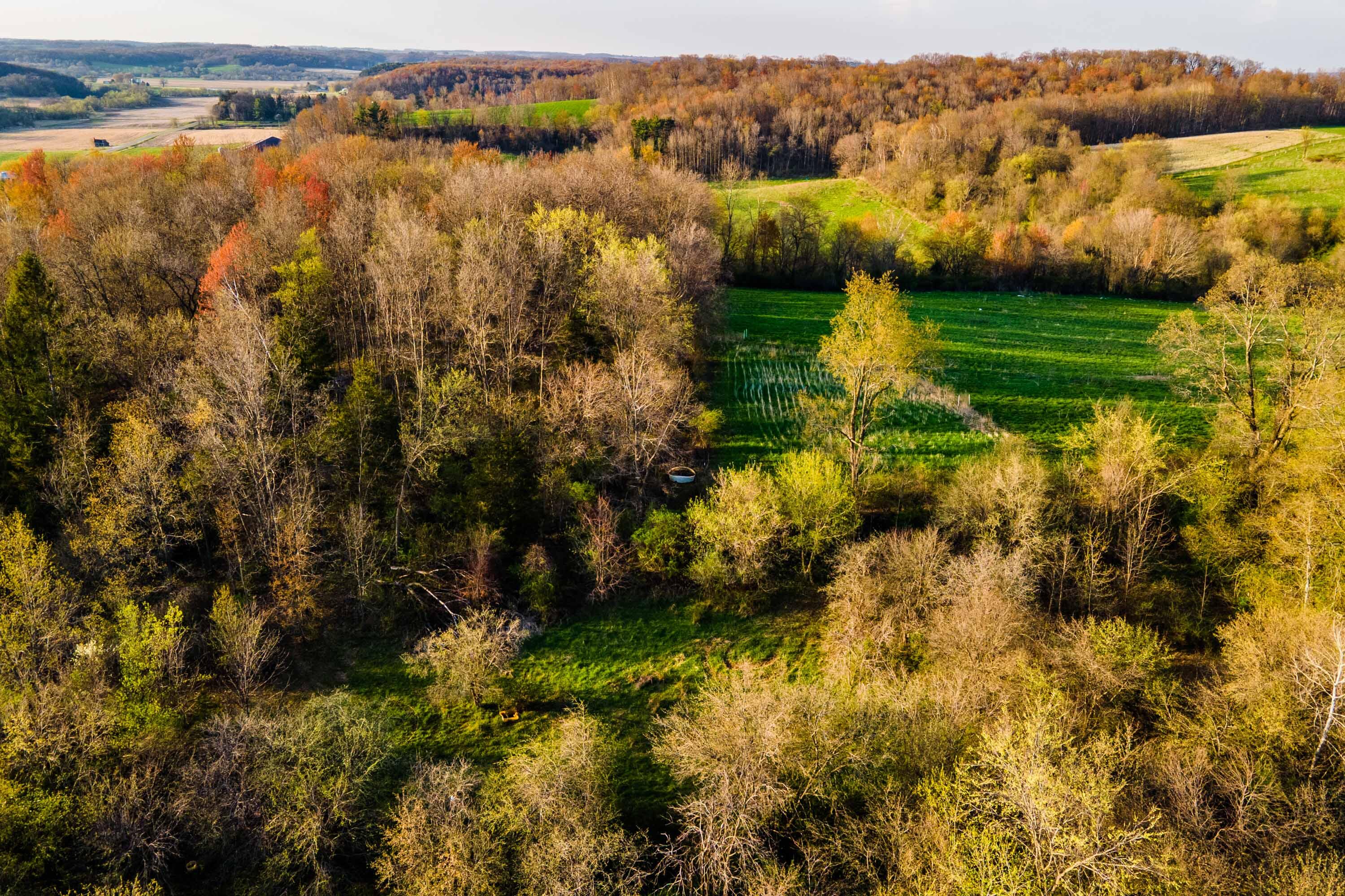 Lt1 Eli Valley Road Loganville, WI 53943 - Photo 2 of 71 Sauk-County-WI-90-Acres-Land-For-Sale-2