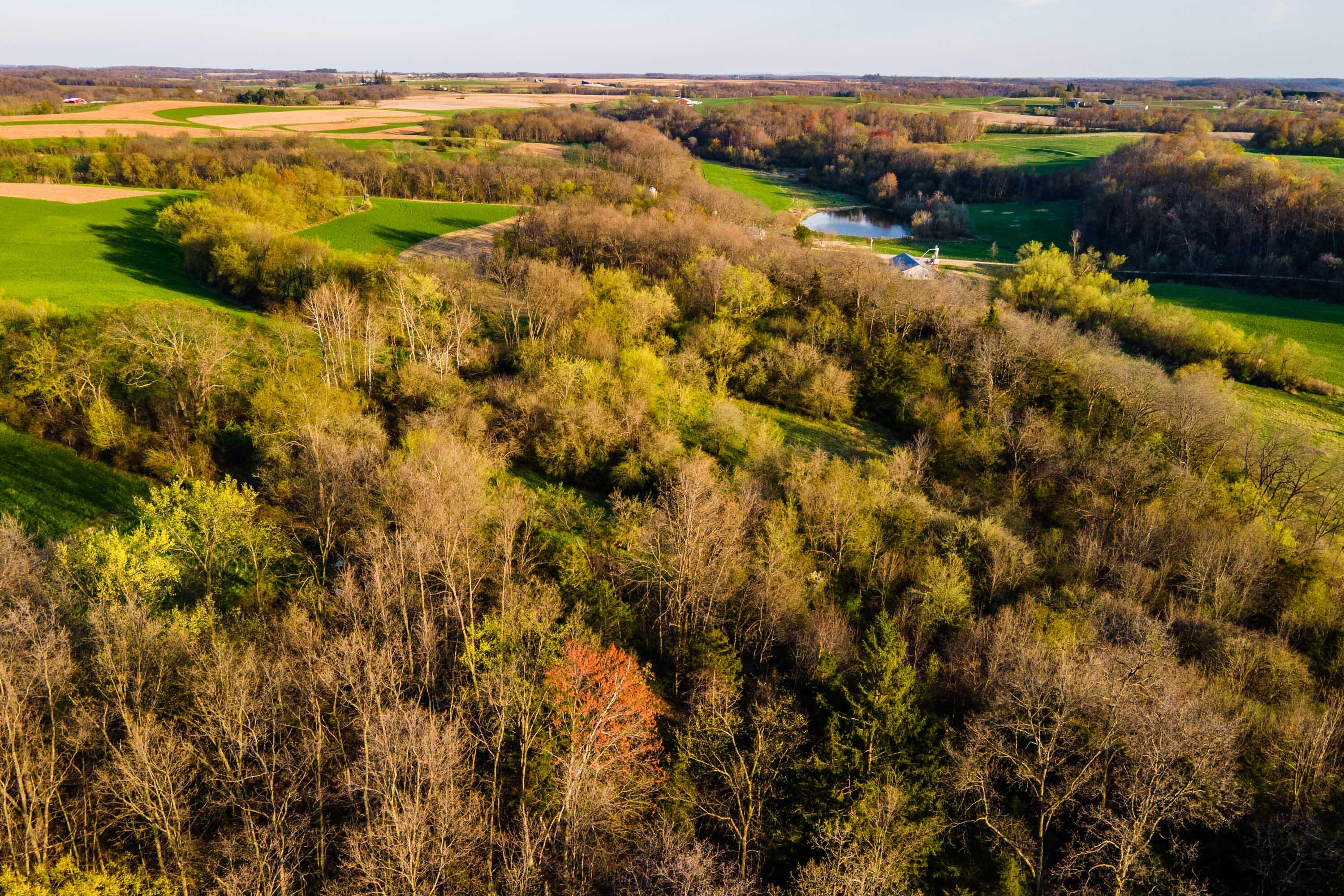Lt1 Eli Valley Road Loganville, WI 53943 - Photo 23 of 71 Sauk-County-WI-90-Acres-Land-For-Sale-23