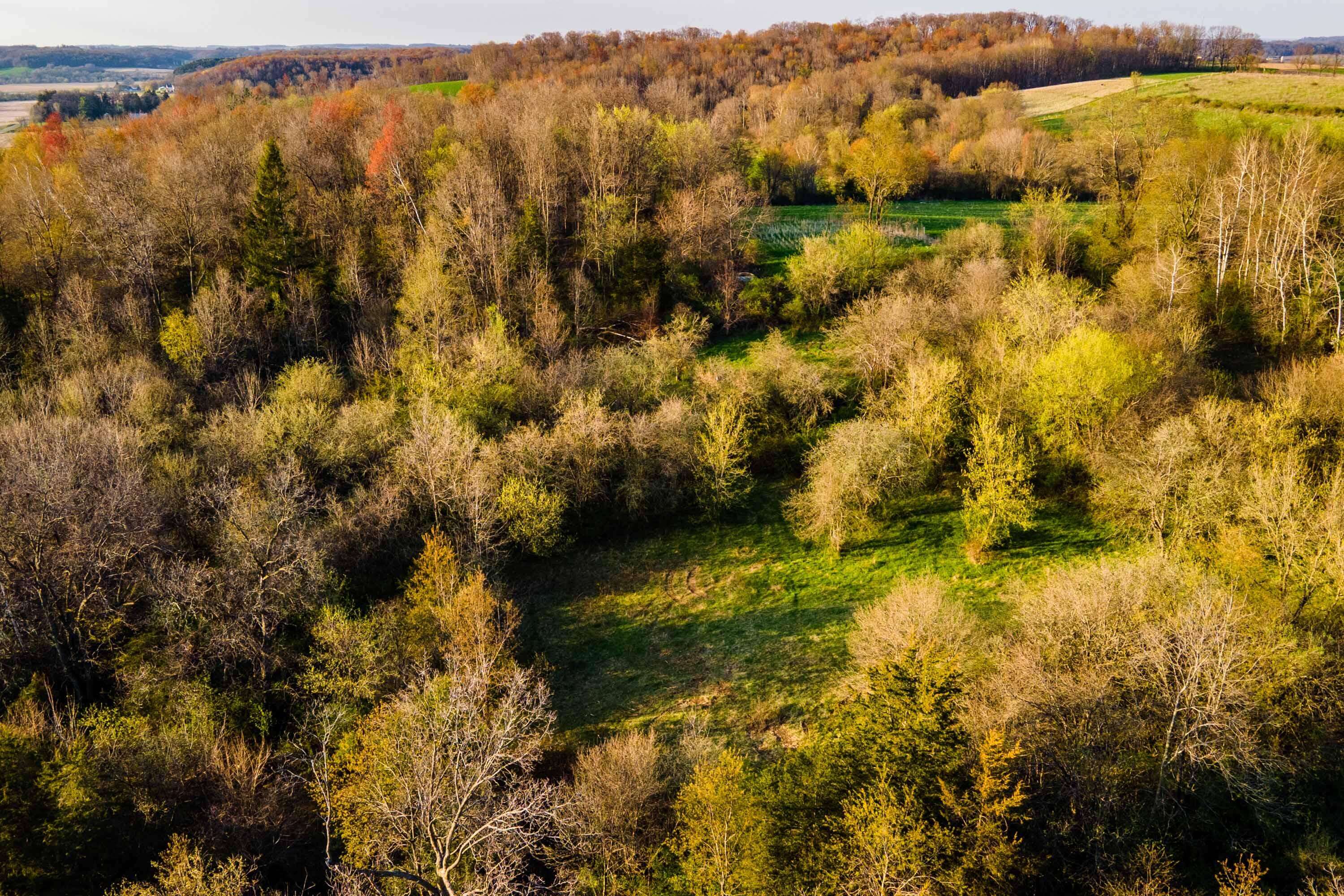 Lt1 Eli Valley Road Loganville, WI 53943 - Photo 24 of 71 Sauk-County-WI-90-Acres-Land-For-Sale-24