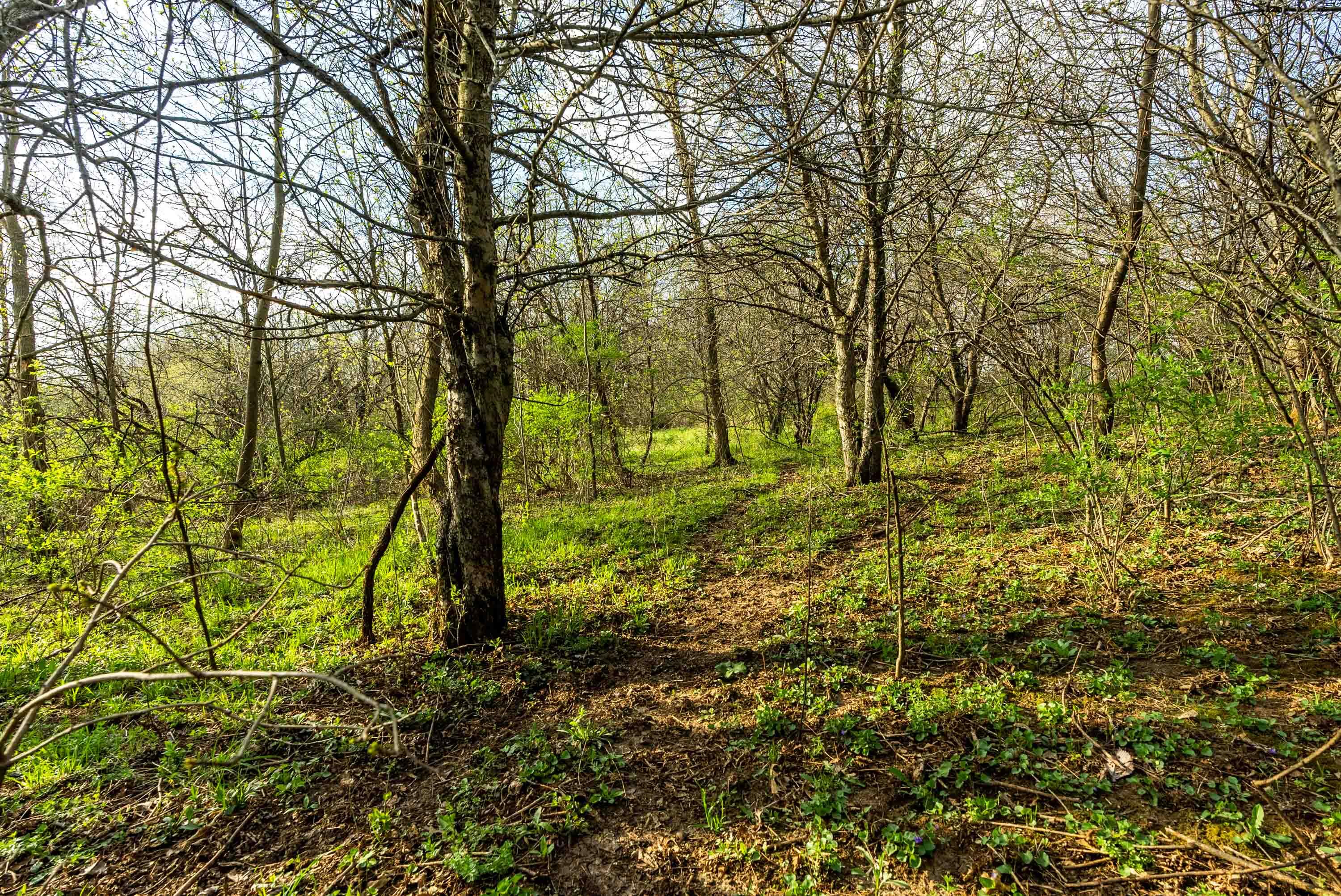 Lt1 Eli Valley Road Loganville, WI 53943 - Photo 27 of 71 Sauk-County-WI-90-Acres-Land-For-Sale-27