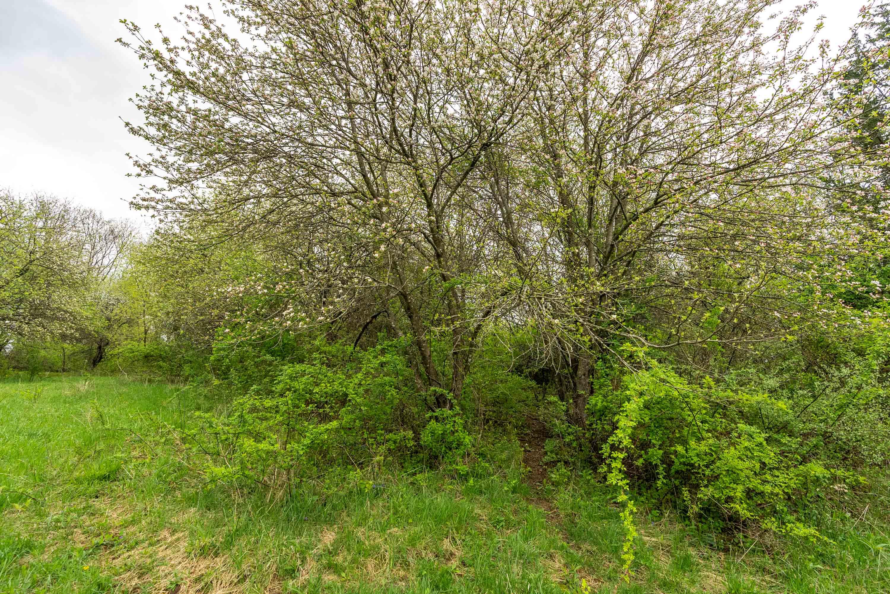 Lt1 Eli Valley Road Loganville, WI 53943 - Photo 28 of 71 Sauk-County-WI-90-Acres-Land-For-Sale-28