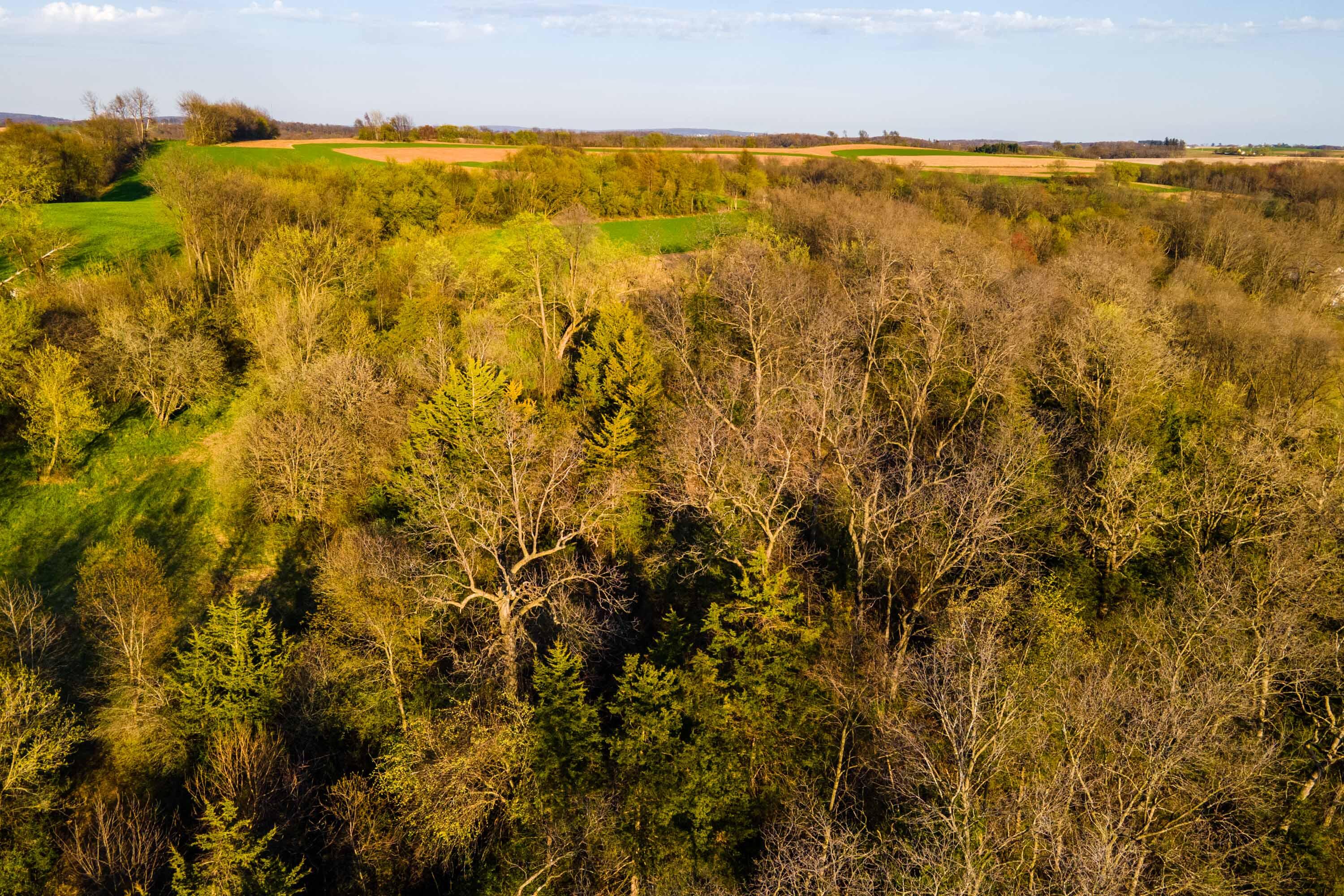 Lt1 Eli Valley Road Loganville, WI 53943 - Photo 37 of 71 Sauk-County-WI-90-Acres-Land-For-Sale-37