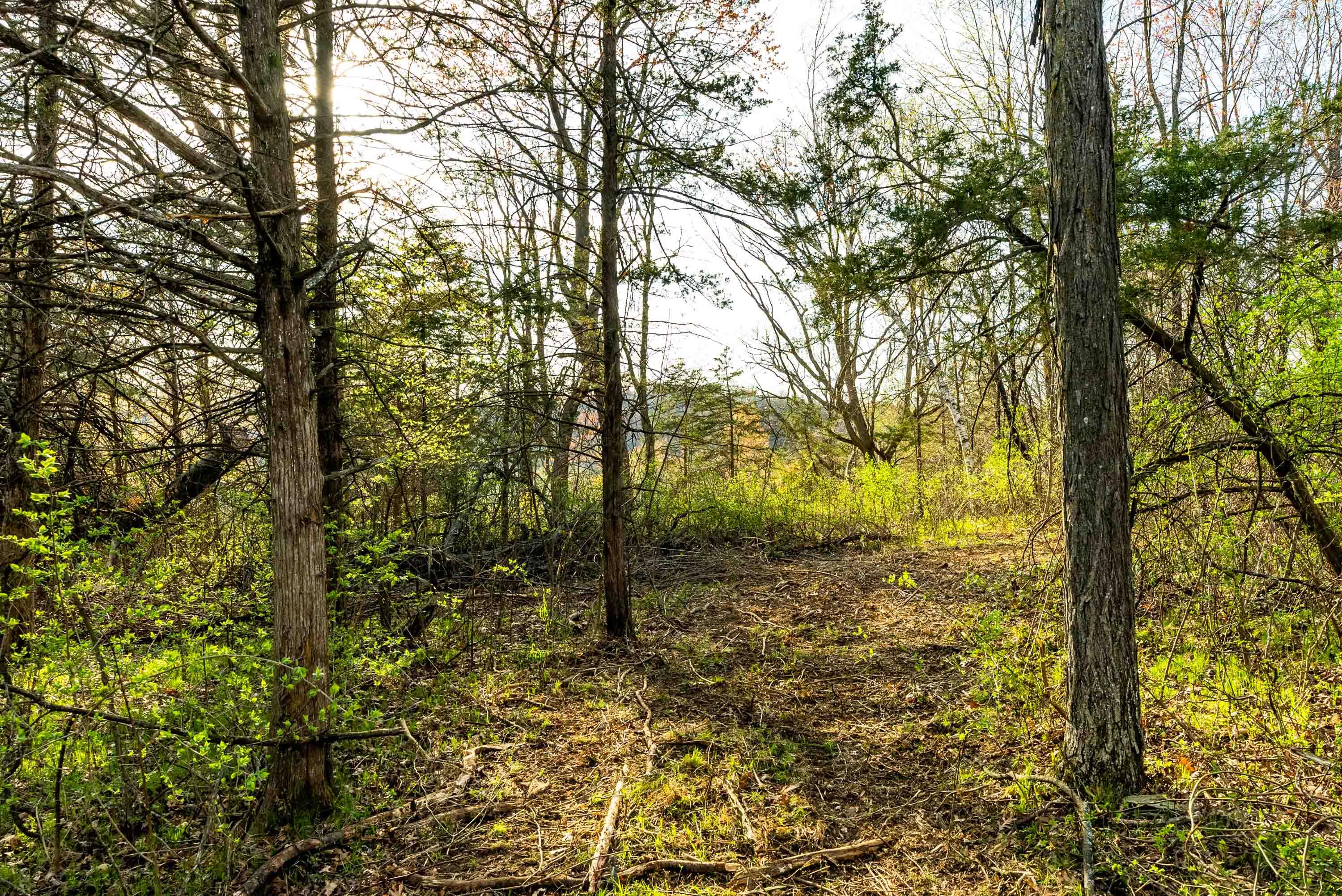 Lt1 Eli Valley Road Loganville, WI 53943 - Photo 39 of 71 Sauk-County-WI-90-Acres-Land-For-Sale-39