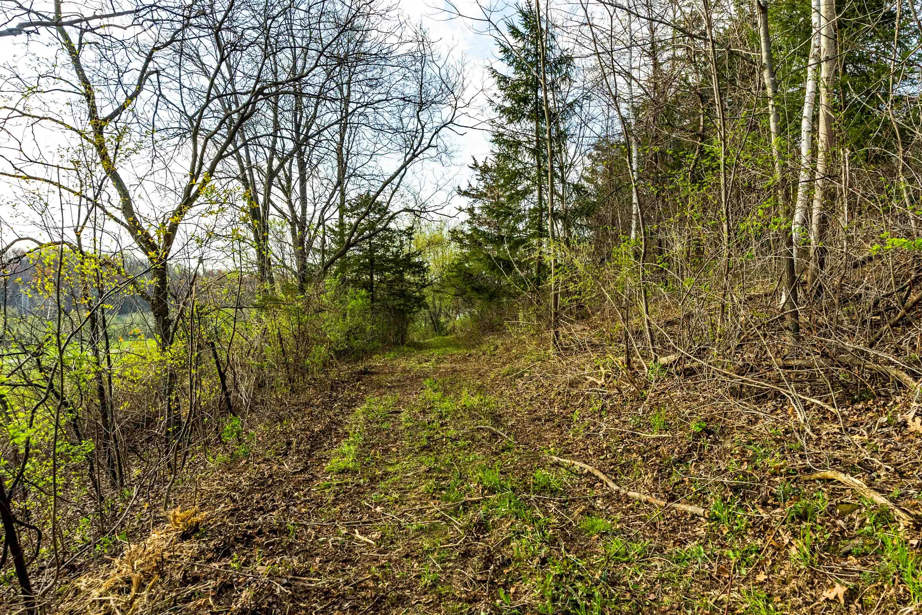 Lt1 Eli Valley Road Loganville, WI 53943 - Photo 40 of 71 Sauk-County-WI-90-Acres-Land-For-Sale-40