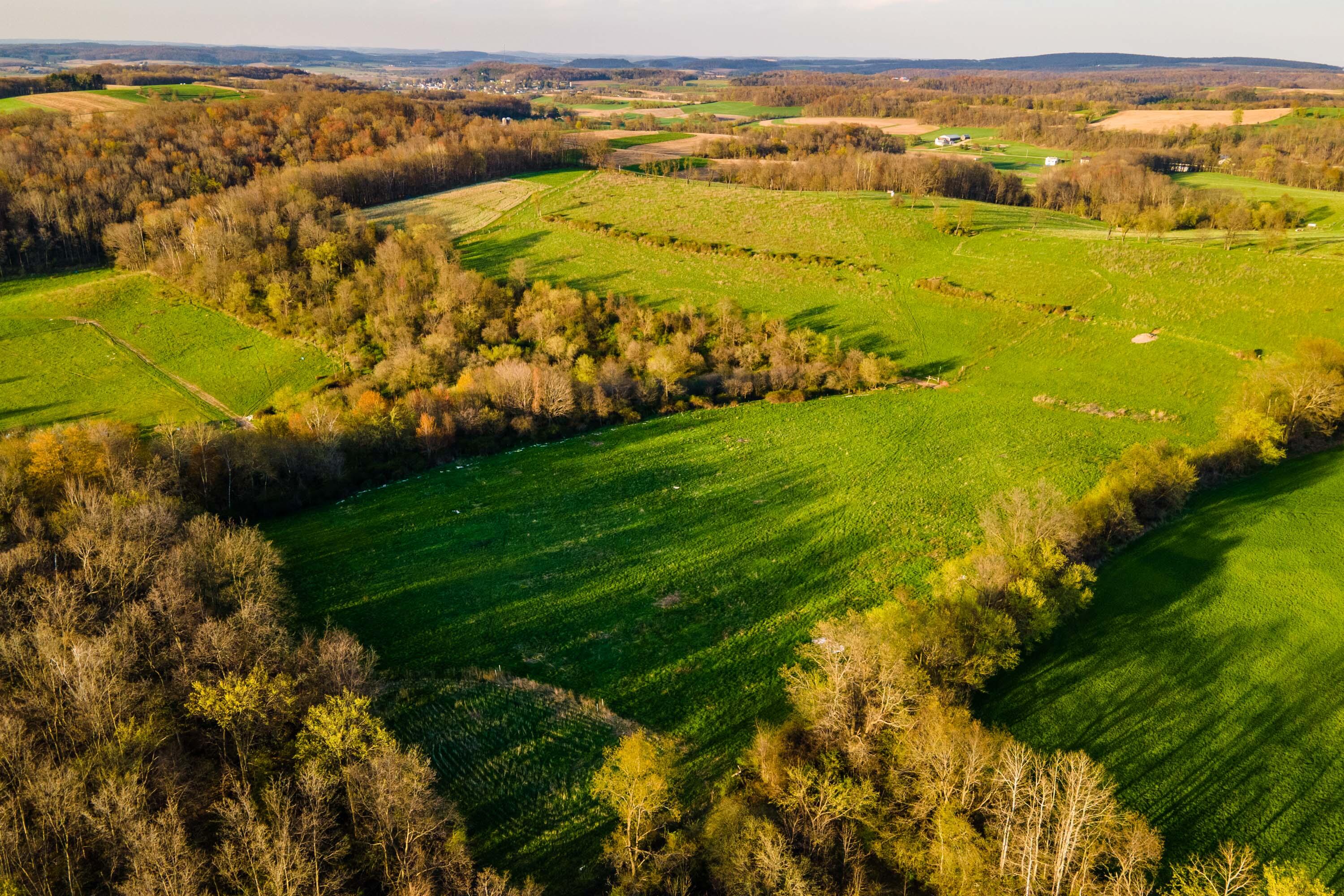 Lt1 Eli Valley Road Loganville, WI 53943 - Photo 47 of 71 Sauk-County-WI-90-Acres-Land-For-Sale-47