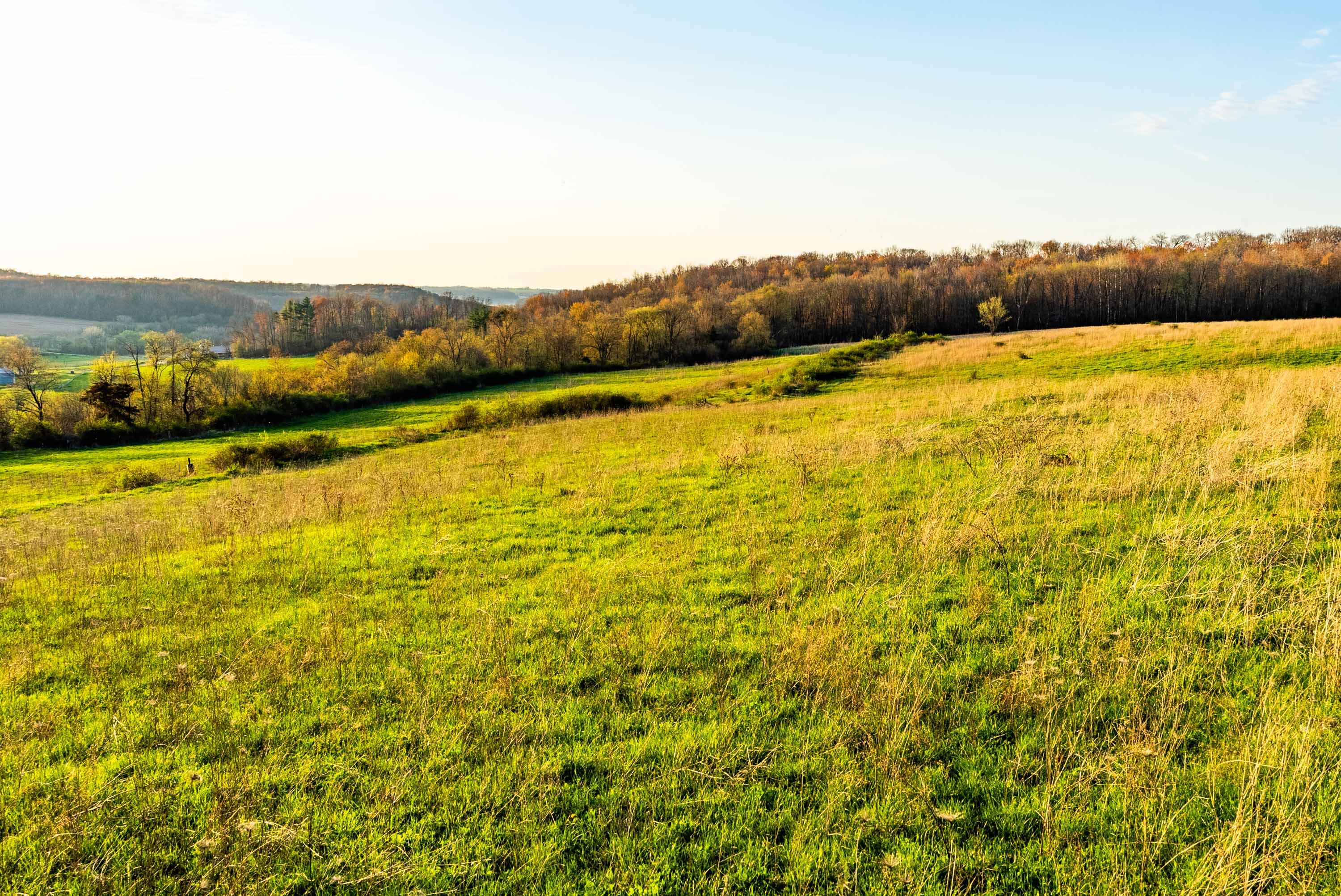 Lt1 Eli Valley Road Loganville, WI 53943 - Photo 48 of 71 Sauk-County-WI-90-Acres-Land-For-Sale-48