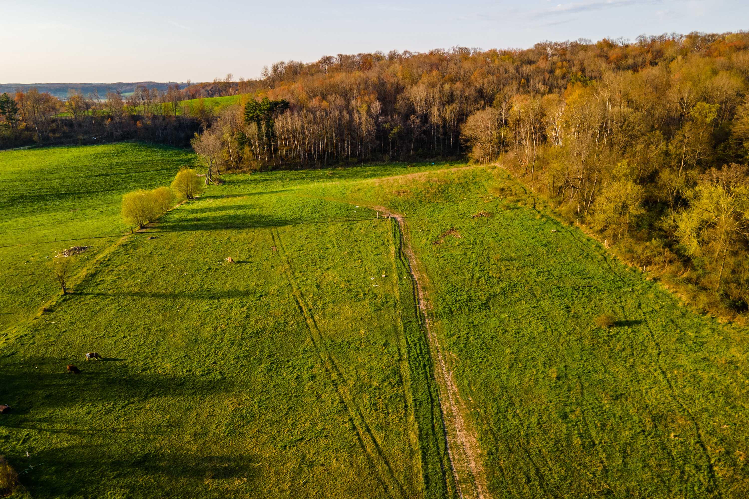 Lt1 Eli Valley Road Loganville, WI 53943 - Photo 53 of 71 Sauk-County-WI-90-Acres-Land-For-Sale-54