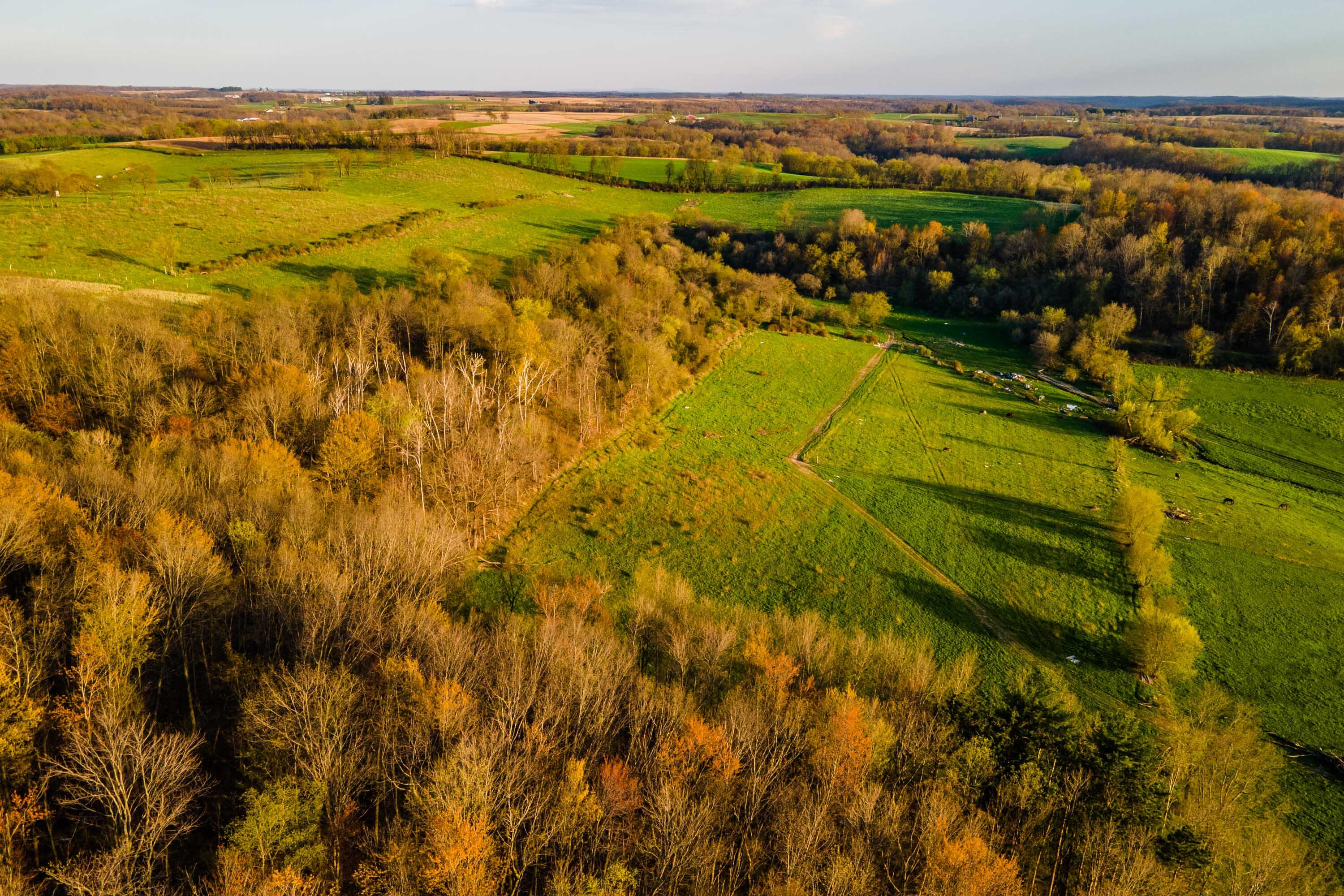 Lt1 Eli Valley Road Loganville, WI 53943 - Photo 54 of 71 Sauk-County-WI-90-Acres-Land-For-Sale-55