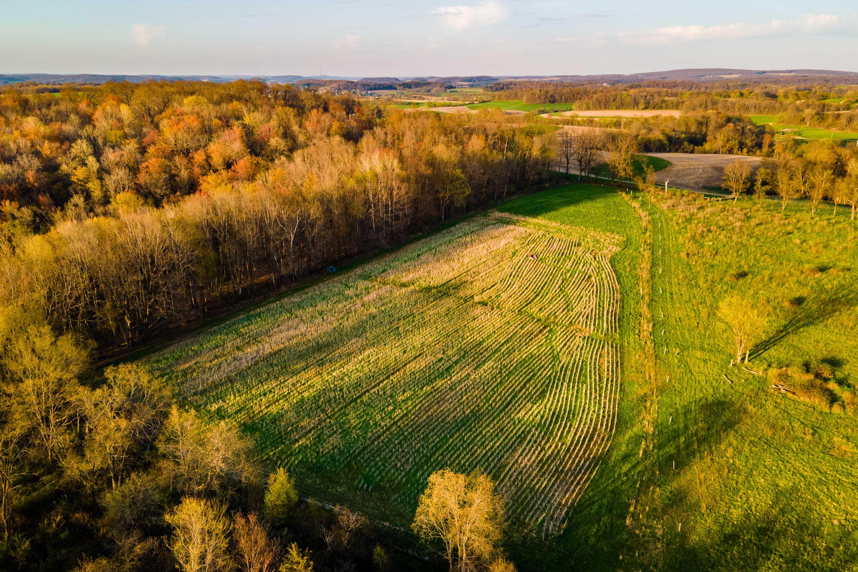 Lt1 Eli Valley Road Loganville, WI 53943 - Photo 55 of 71 Sauk-County-WI-90-Acres-Land-For-Sale-56
