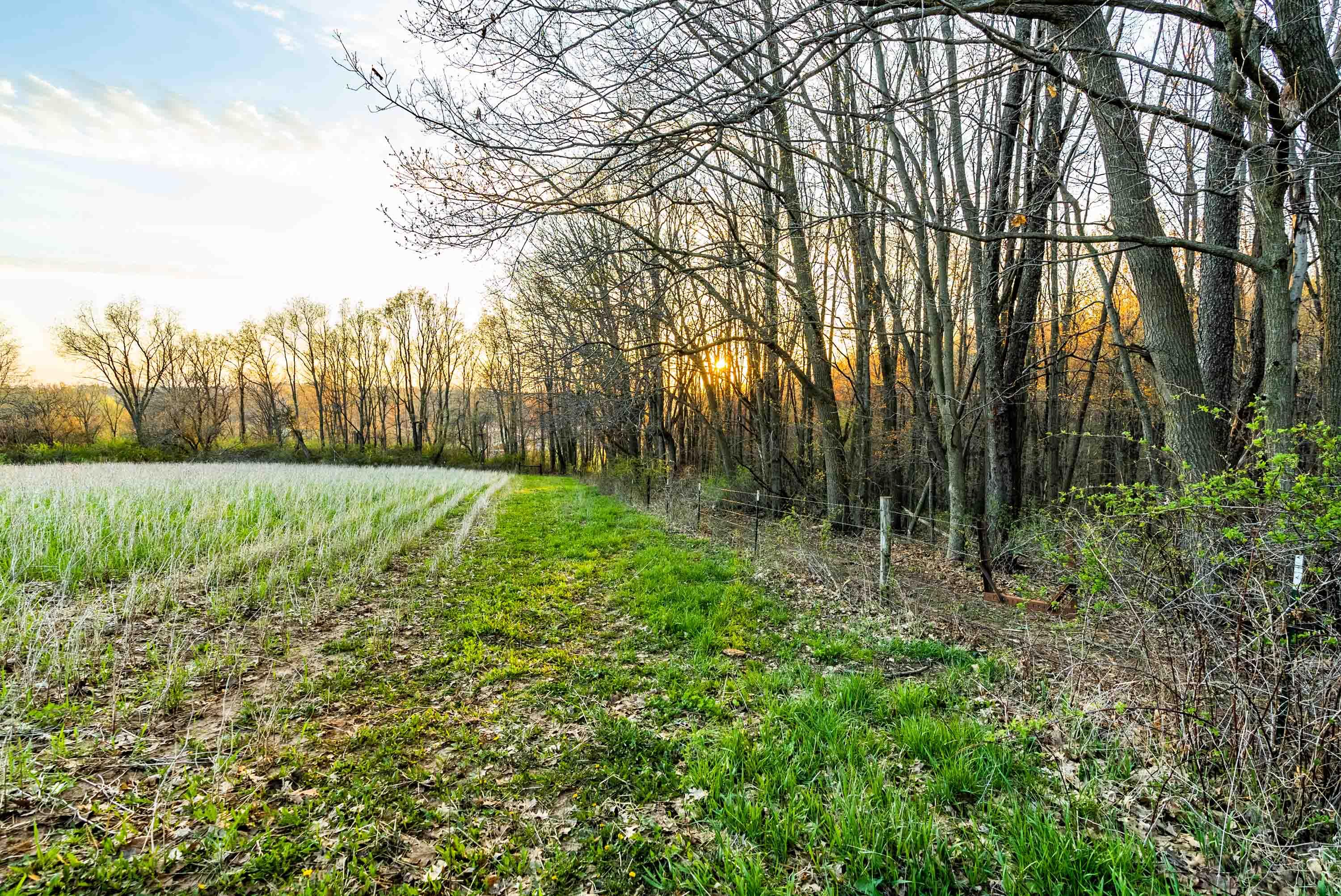 Lt1 Eli Valley Road Loganville, WI 53943 - Photo 59 of 71 Sauk-County-WI-90-Acres-Land-For-Sale-60