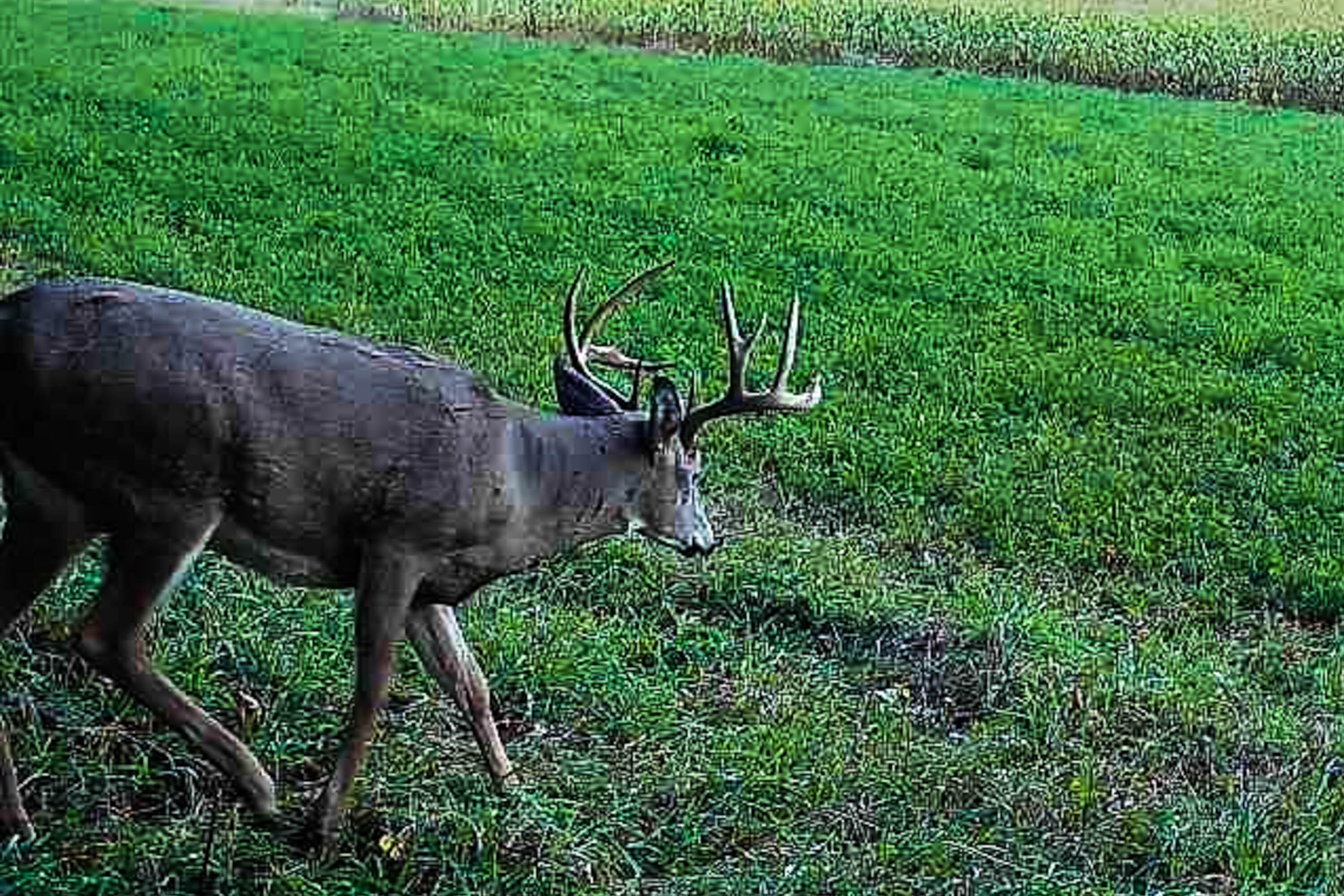 Lt1 Eli Valley Road Loganville, WI 53943 - Photo 6 of 71 Sauk-County-WI-90-Acres-Land-For-Sale-6