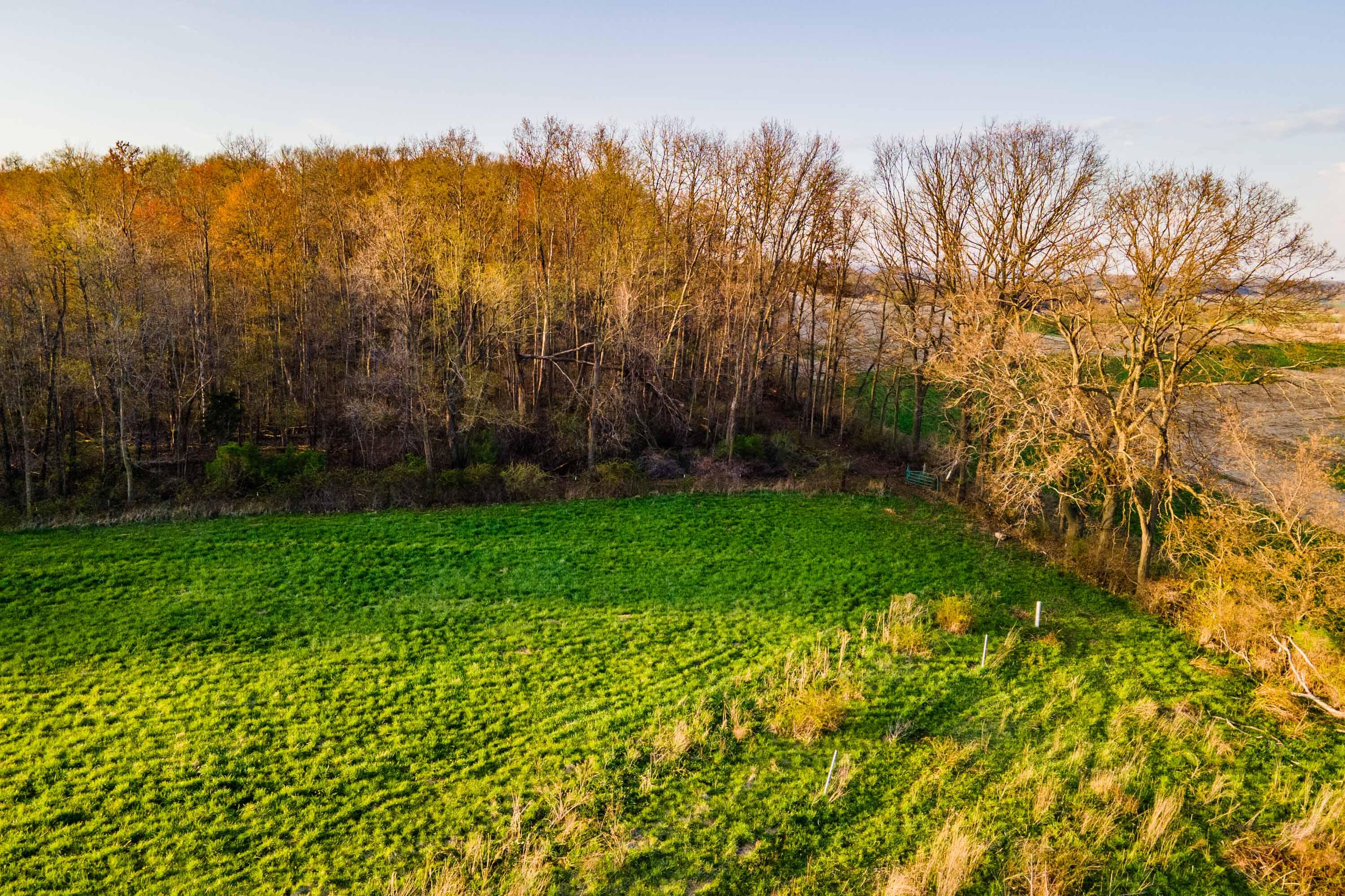 Lt1 Eli Valley Road Loganville, WI 53943 - Photo 61 of 71 Sauk-County-WI-90-Acres-Land-For-Sale-62