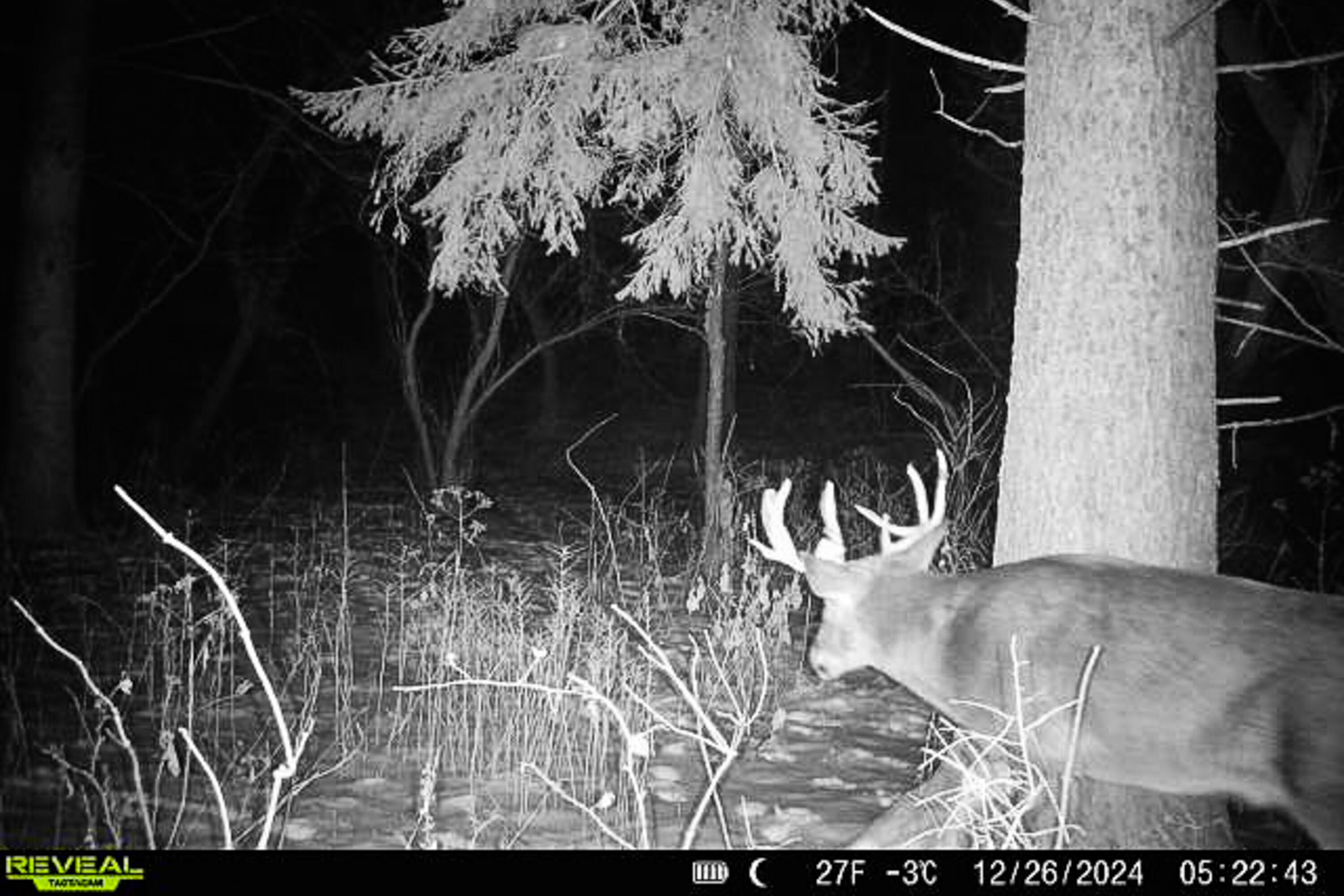 Lt1 Eli Valley Road Loganville, WI 53943 - Photo 66 of 71 Sauk-County-WI-90-Acres-Land-For-Sale-67