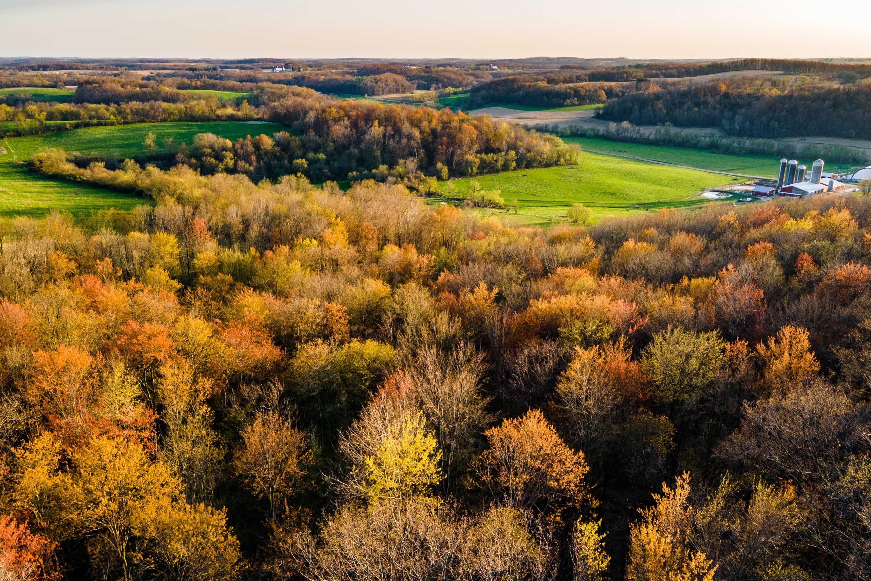 Lt1 Eli Valley Road Loganville, WI 53943 - Photo 67 of 71 Sauk-County-WI-90-Acres-Land-For-Sale-68