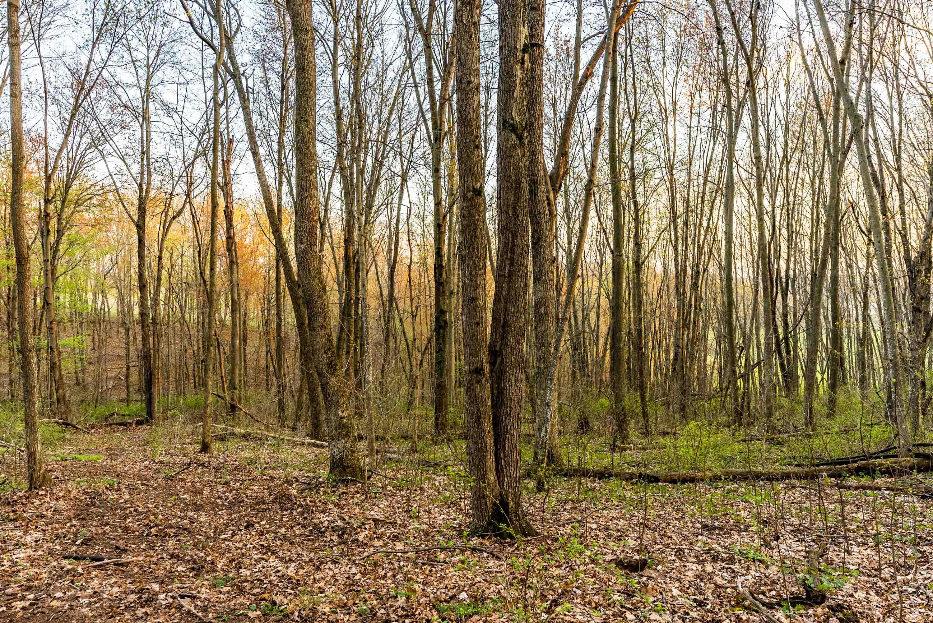 Lt1 Eli Valley Road Loganville, WI 53943 - Photo 68 of 71 Sauk-County-WI-90-Acres-Land-For-Sale-69