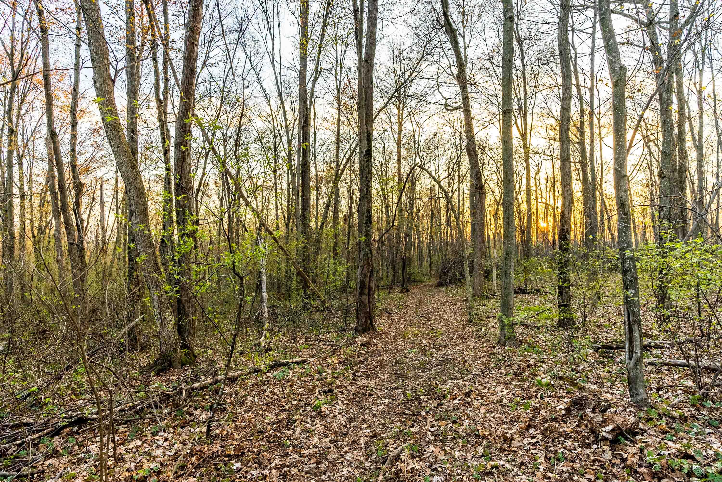 Lt1 Eli Valley Road Loganville, WI 53943 - Photo 69 of 71 Sauk-County-WI-90-Acres-Land-For-Sale-70